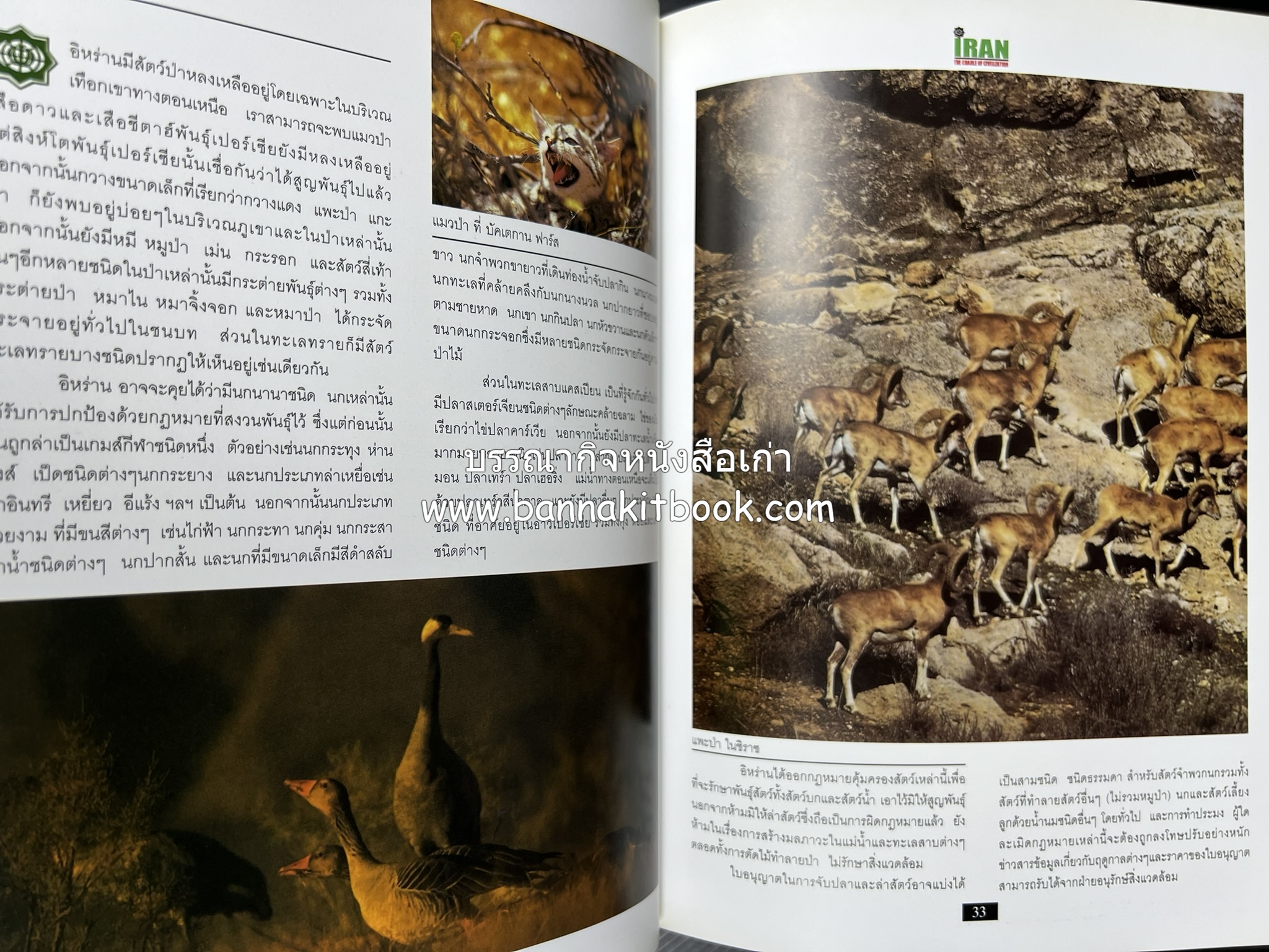 อิหร่าน : อู่แห่งอารยธรรม โดย : ไรน่าน อรุณรังษี.