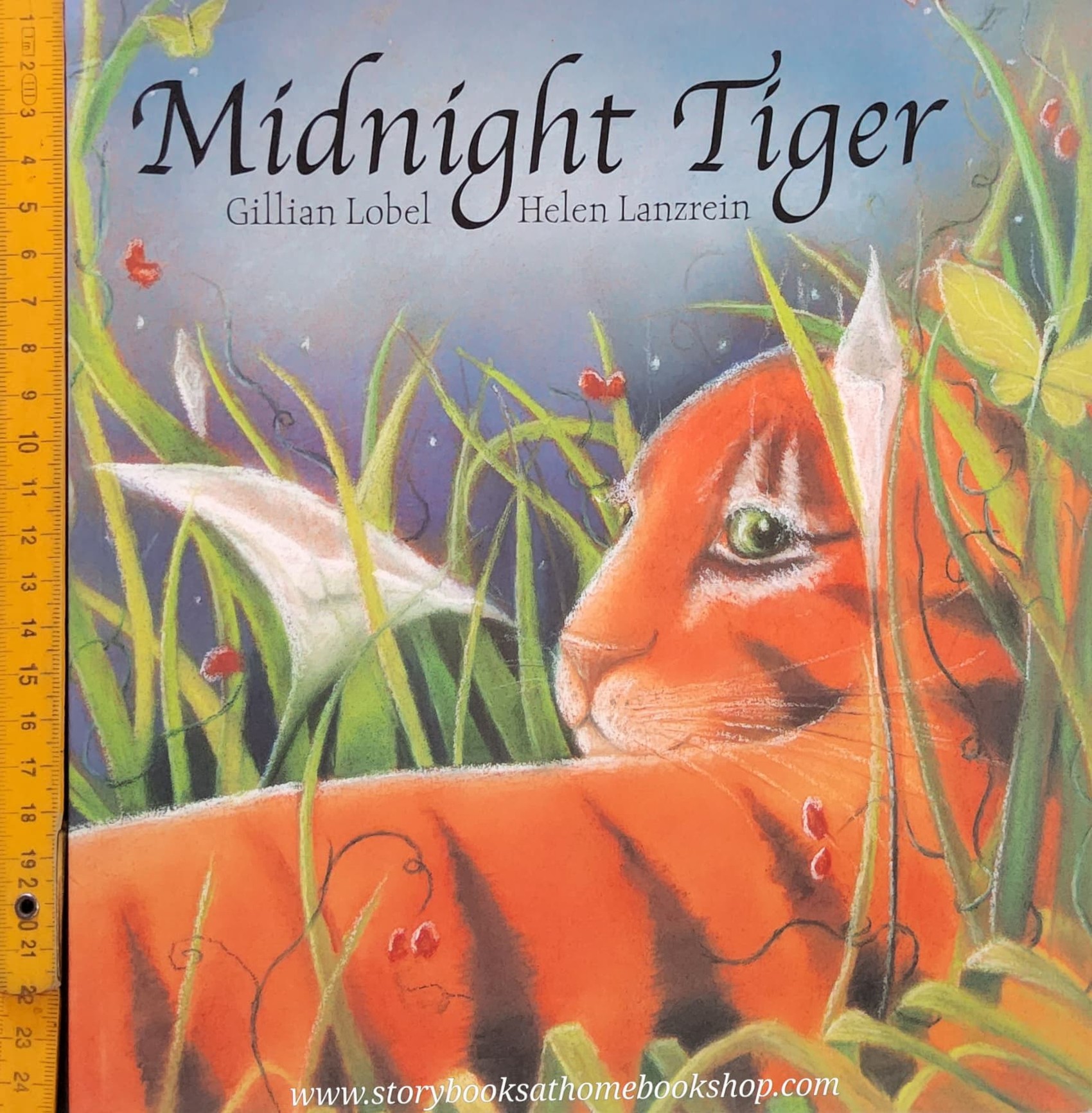 หนังสือนิทานปกอ่อน** 🍅🍓MIDNIGHT TIGER