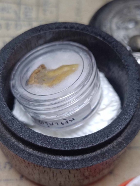 พระทันตธาตุ ครูบาเงิน วัดกอโชค จ.เชียงใหม่่ พระทันครูบาเงินนี้ ได้รับมาจากคุณอภิรักศ์ ท่านเป็น ผอ. โรงเรียนวัดท่ากาน อ.สันป่าตอง จ.เชียงใหม่ อายุ 52 ปี (บันทึก พ.ศ.2567) โดยได้รับมาจากคุณพ่อของท่าน ชื่อตานัน คุณตานัน เขียวคำ ท่านเสียเมื่อปี 2560