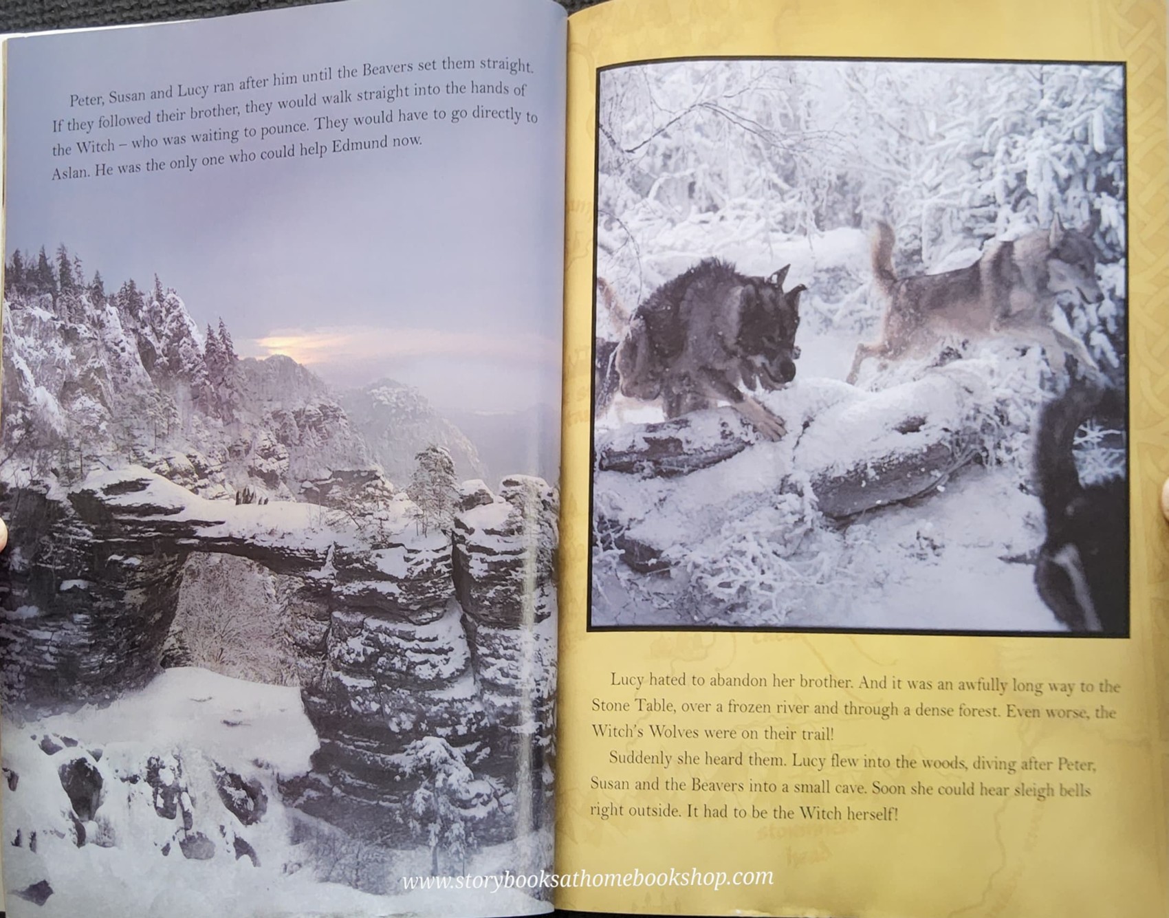 หนังสือนิทานปกอ่อน* 🍓🍓THE CHRONICLES OF NARNIA:THE LION THE WITCH AND THE WARDROBE