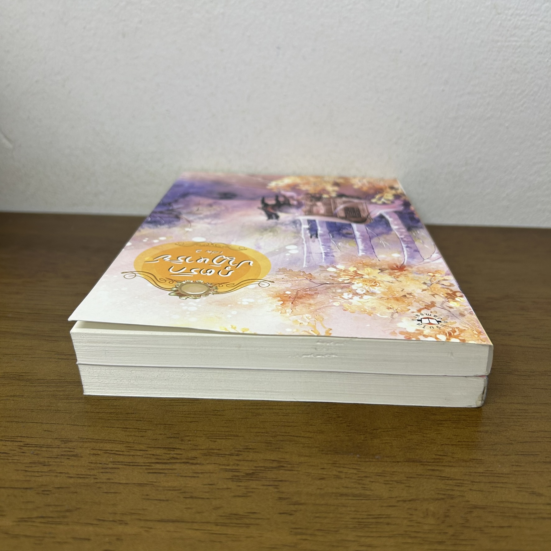 ภูตรักปาฏิหาริย์ เล่ม 1-2 จบ ครบชุด ... อวี๋ฉิง (มือสอง) นิยาย แปลจีน แจ่มใส