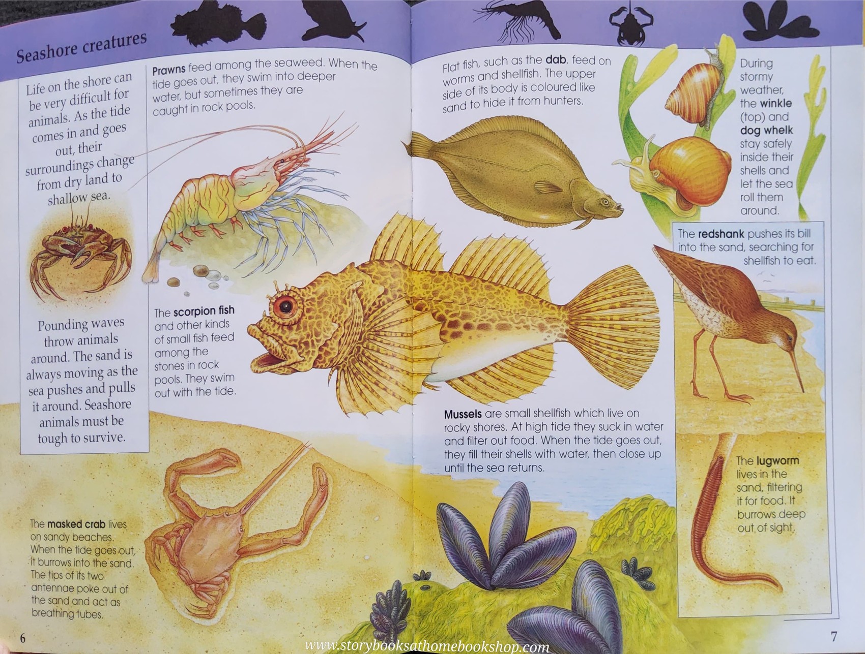 Knowledge Book** ððPUFFIN FACTFINDERS FANTASTIC SEA CREATURES