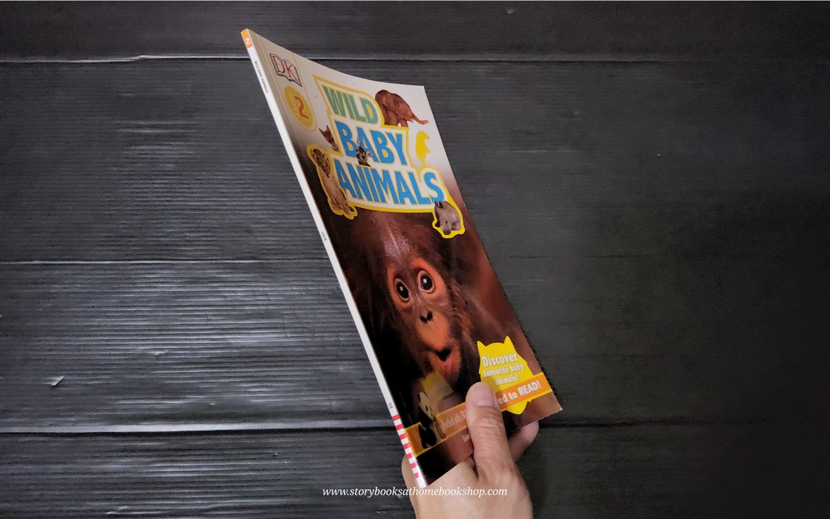 หนังสือนิทานปกอ่อน** 🍅🍓DK LEVEL2:WILD BABY ANIMALS
