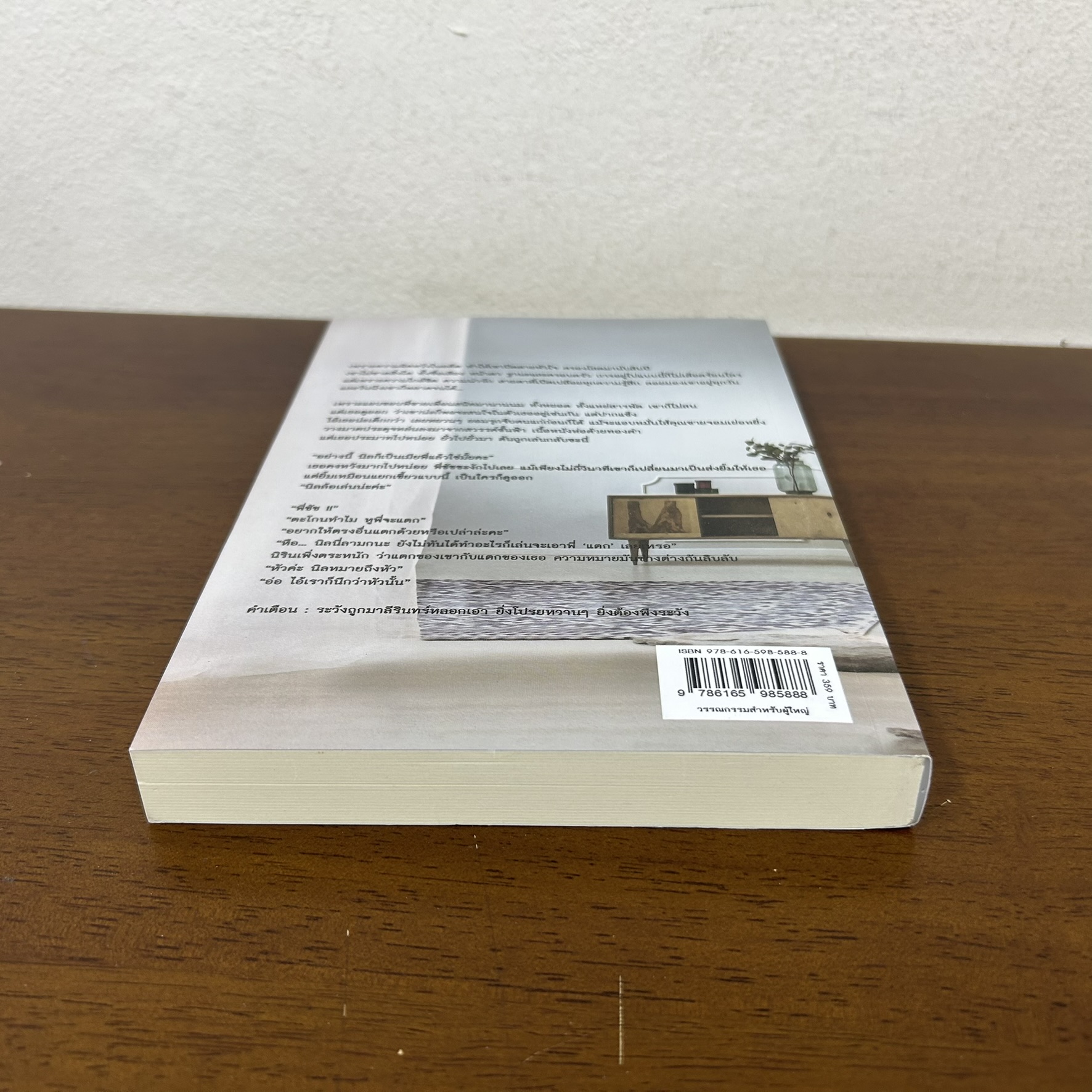 เมียลับของชัชวิน ... มาลีรินทร์ (มือสอง) นิยาย โรแมนติก ทำมือ