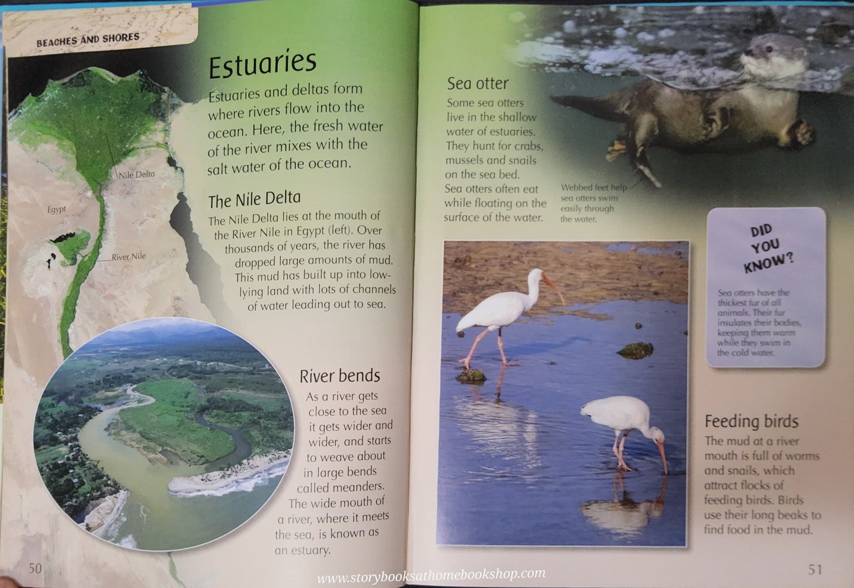 Knowledge Book** ð
ðTHE CHILDREN'S ENCYCLOPEDIA OF OCEANS with 3D COVER