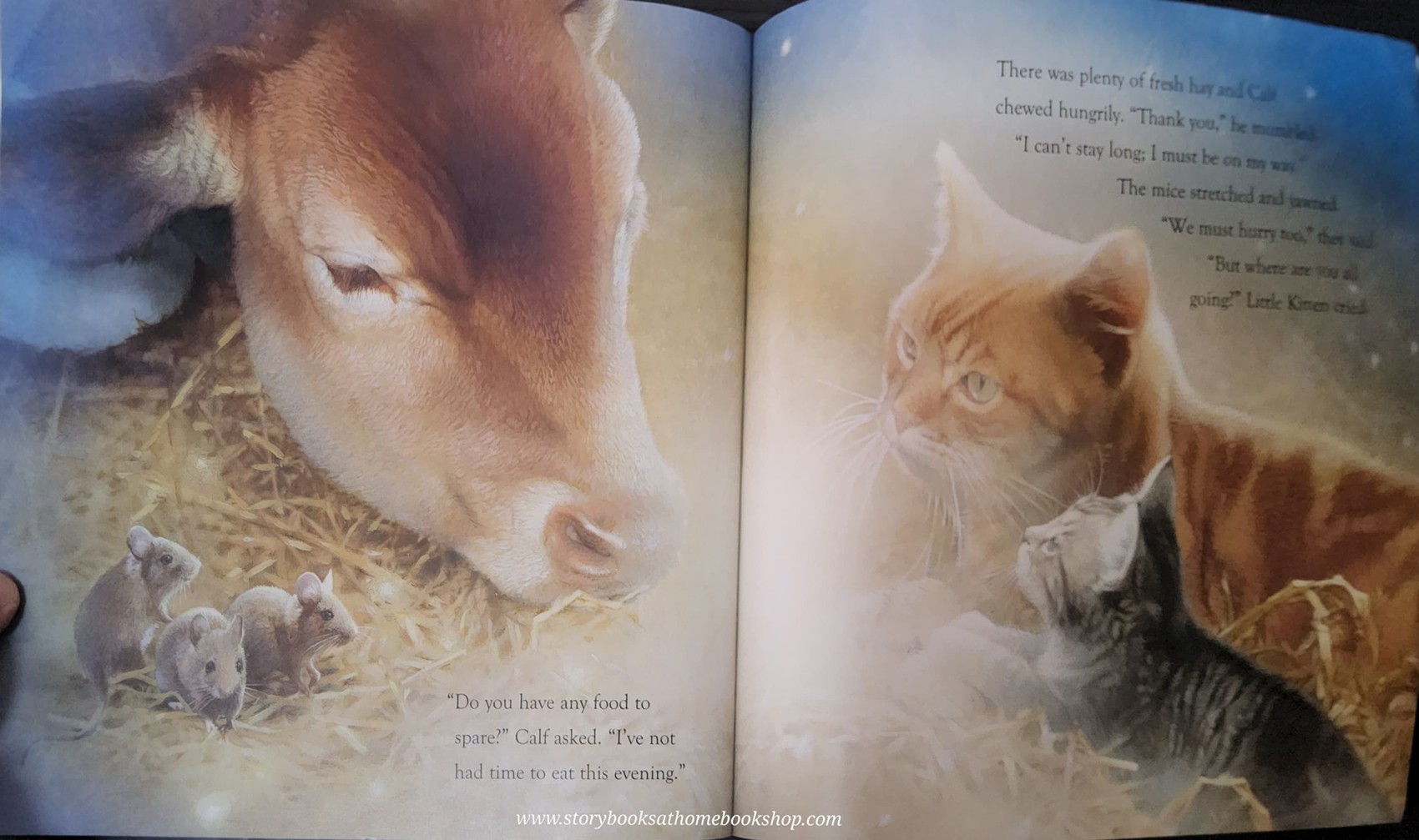 หนังสือนิทานปกอ่อน** 🍅🍓ON THIS SPECIAL NIGHT