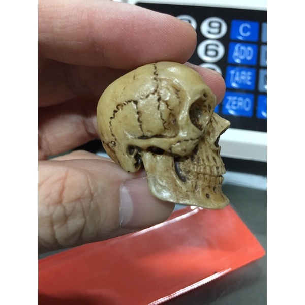 หัวกระโหลก จำลอง งานเรซิ่น ใช้ประกอบฉาก GK Resin Skeleton Skull