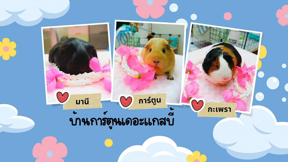 บ้านการ์ตูนเดอะแกสบี้