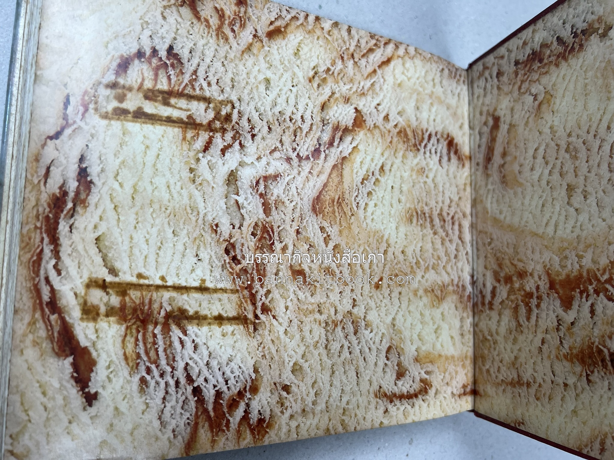 ตำราทำไอศกรีม (The Enjoy Ice Cream) โดย : Matthew Klein (ภาษาอังกฤษ).