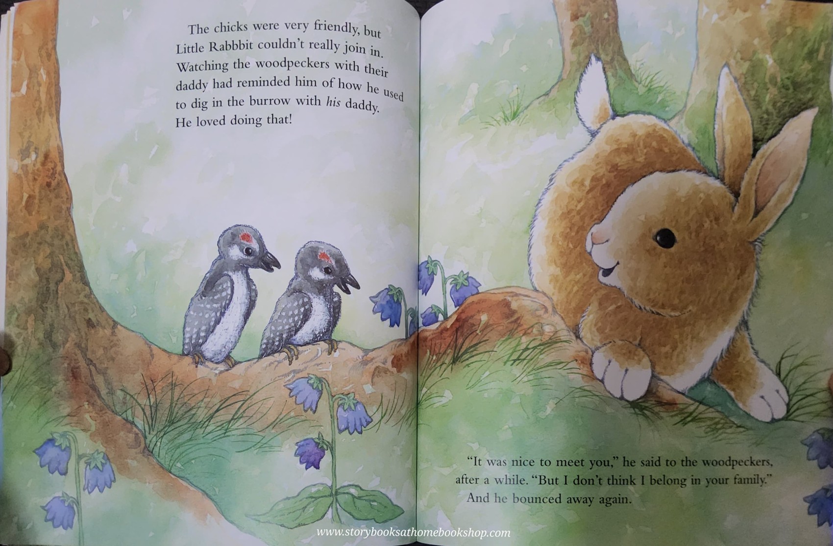 หนังสือนิทานปกอ่อน** 🍅🍓LITTLE RABBIT BY PIERS HARPER