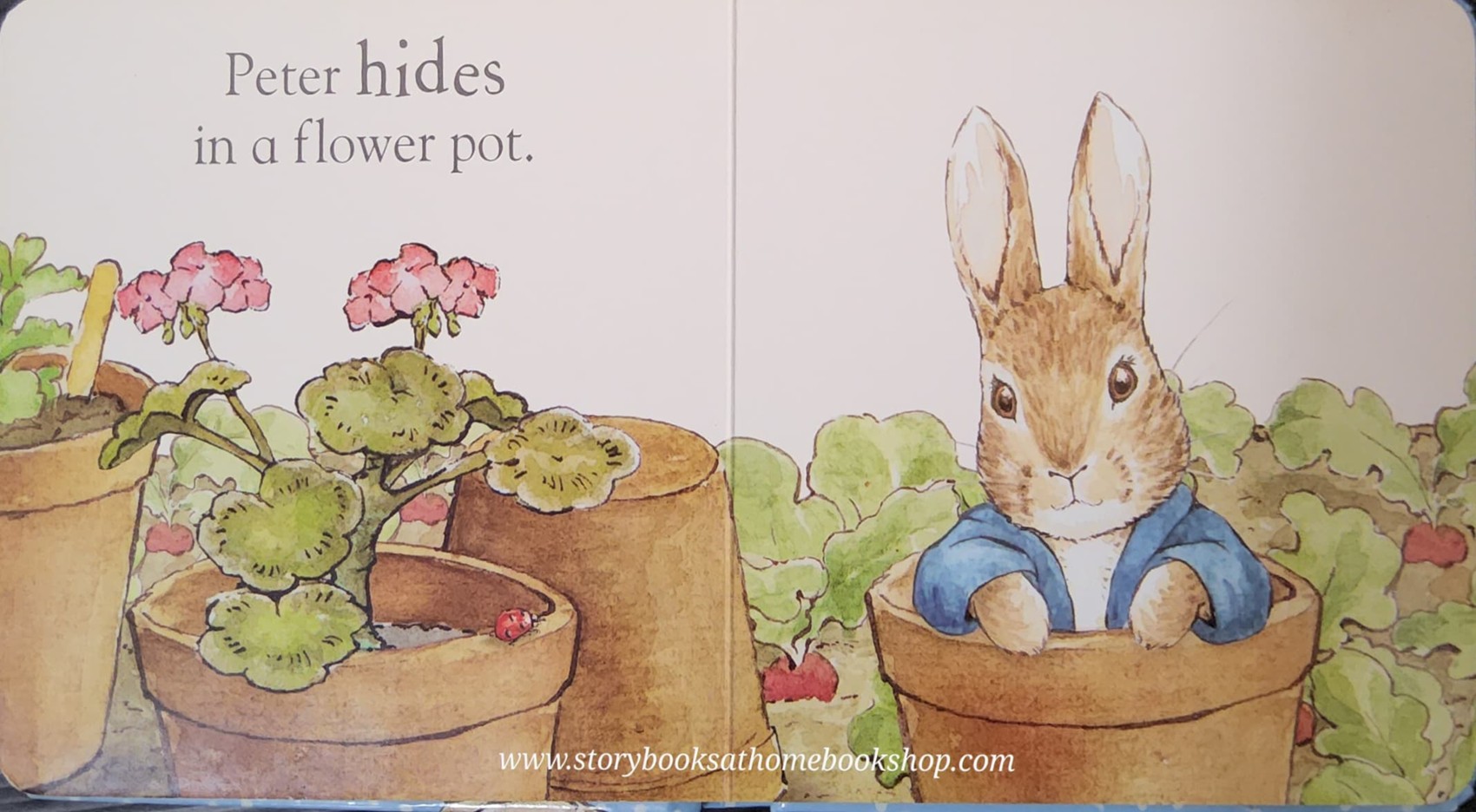 BOARD BOOK** 🍅🍓A PETER RABBIT TALE:HELLO PETER