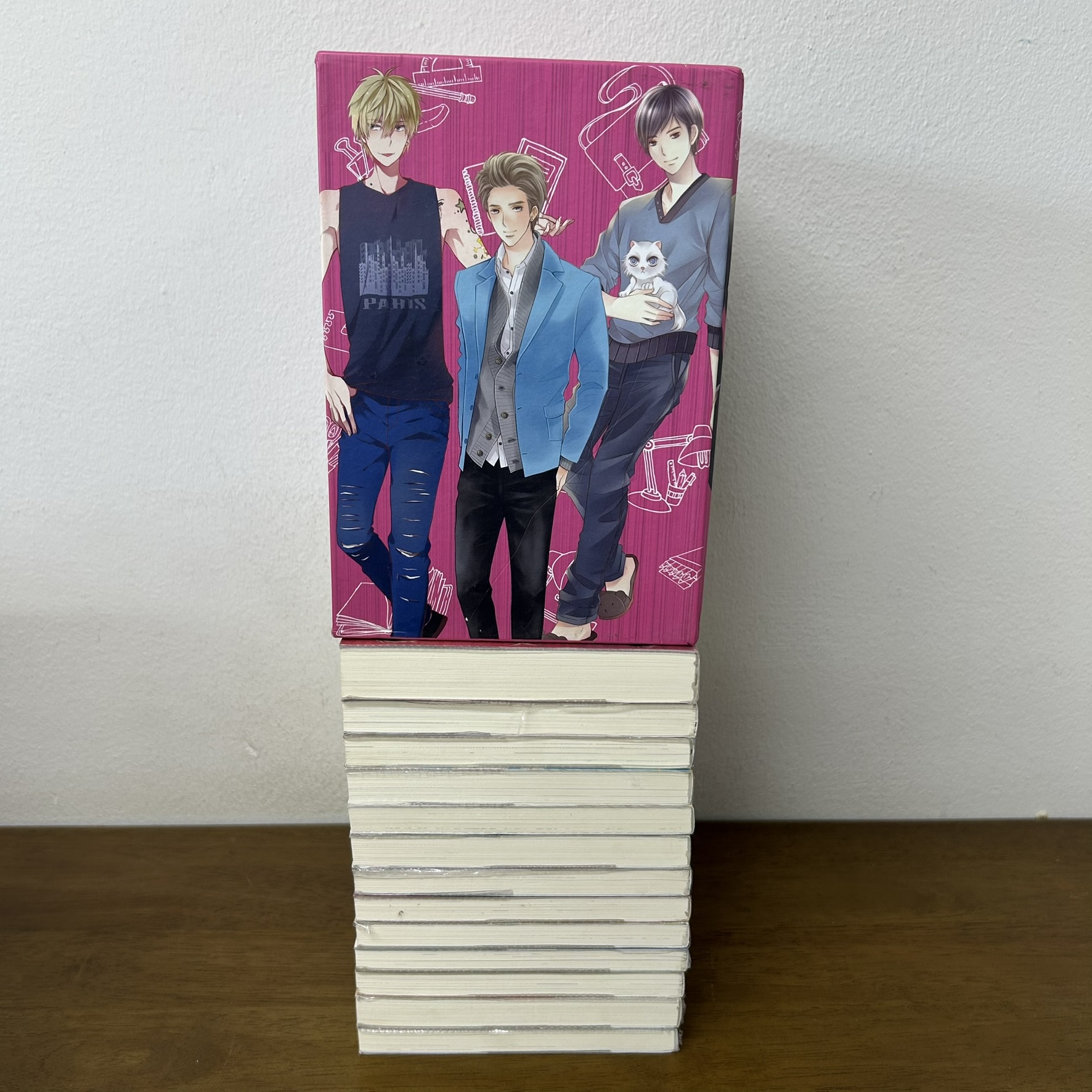 BOXSET U prince 13 เล่ม ภาคหลัก 12 เล่ม+พิเศษ ... รวมนักเขียน (มือสอง) แจ่มใส Love Series JLS