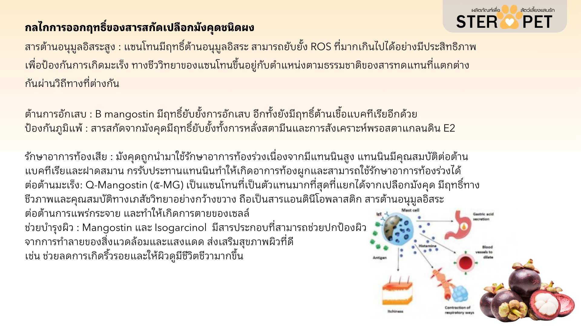 เซตแนะนำ (ชุด 1 เดือน) สเตอร์ เพ็ท Ster Pet เนื้องอกหมาแมว ก้อนเนื้อหมาแมว มะเร็งสุนัขแมว ลดอักเสบ ลดขนาดก้อนเนื้อ ซึม ไม่ร่าเริง เบื่ออาหาร น้ำหนักลด ไตวายหมาแมว แผลยุบเร็ว ( 30 แคปซูล)