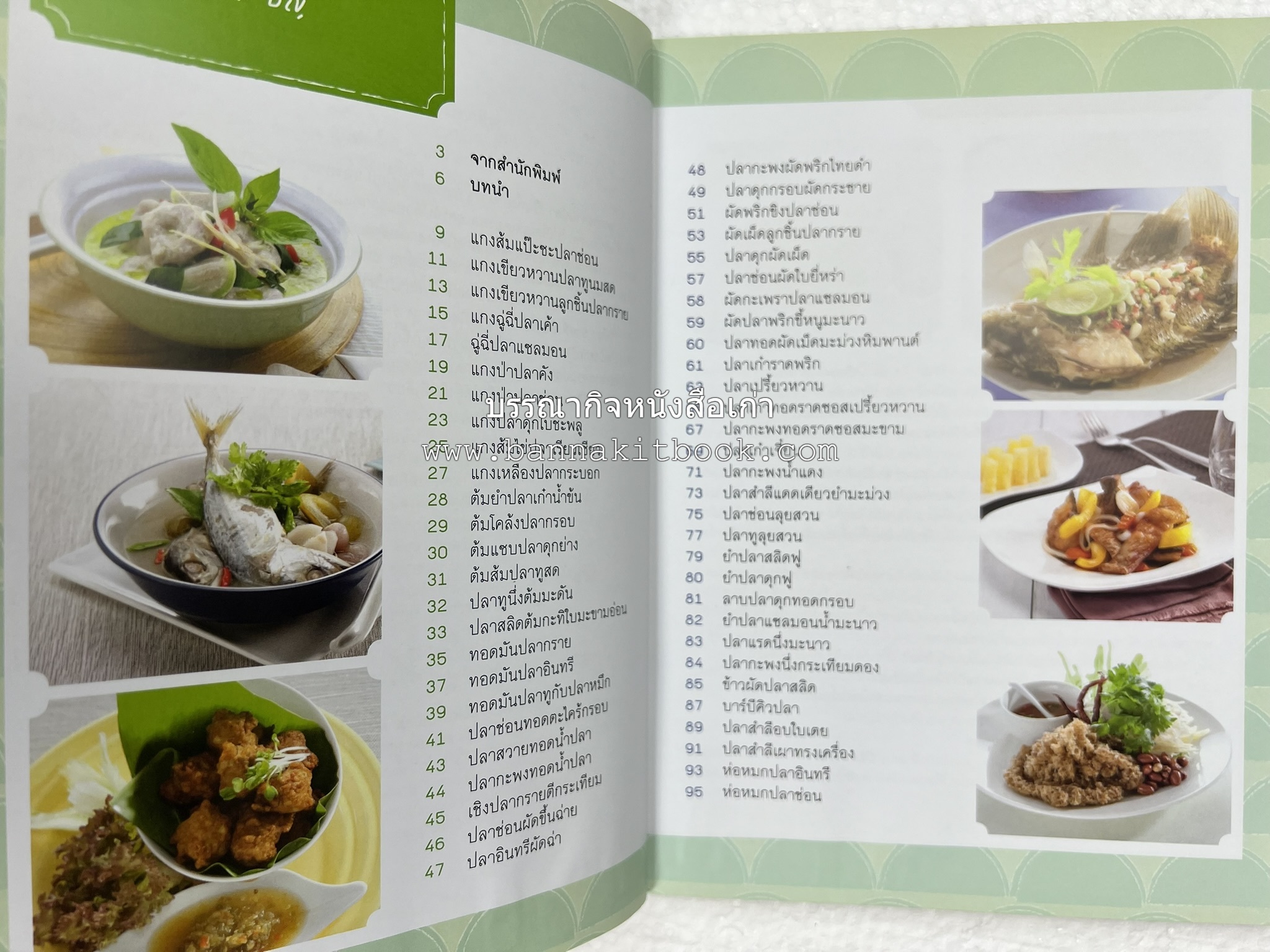 ปลา ขายดี มีอาชีพ โดย : สิริรักษ์ บางสุด.