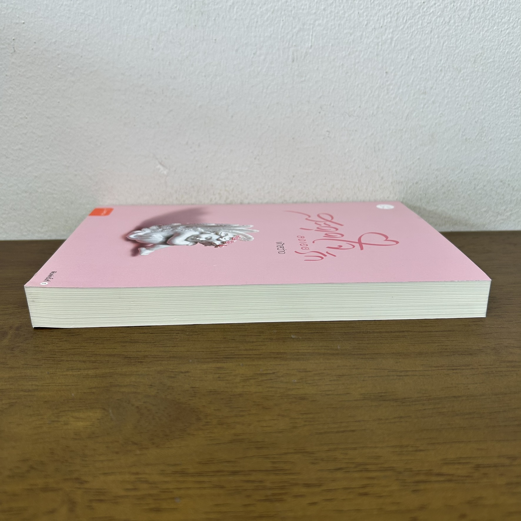 สะดุดใจลงเอยรัก ... ฟ้าสว่าง (มือสอง) โรแมนติก นิยาย แจ่มใส