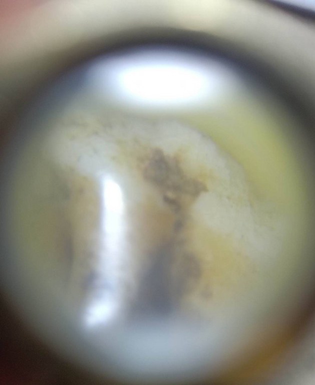 พระทันตธาตุครูบาพรรณ วัดพระพุทธบาทห้วยต้ม ได้มาจากชาวกะเหรี่ยงชื่อ โจ้ อายุ 48 ปี เคยรับใช้ครูบาวงศ์ และครูบาพรรณ เป็นเลขาทางวัดห้วยต้มด้วย ท่านได้มาจากครูบาพรรณเมื่อตอนปี 2553 ครูบาพรรณมีสิริอายุ 83 ปี เมื่อครั้งที่ครูบาพรรณไปถอนฟันที่โรงพยาบาลลี้