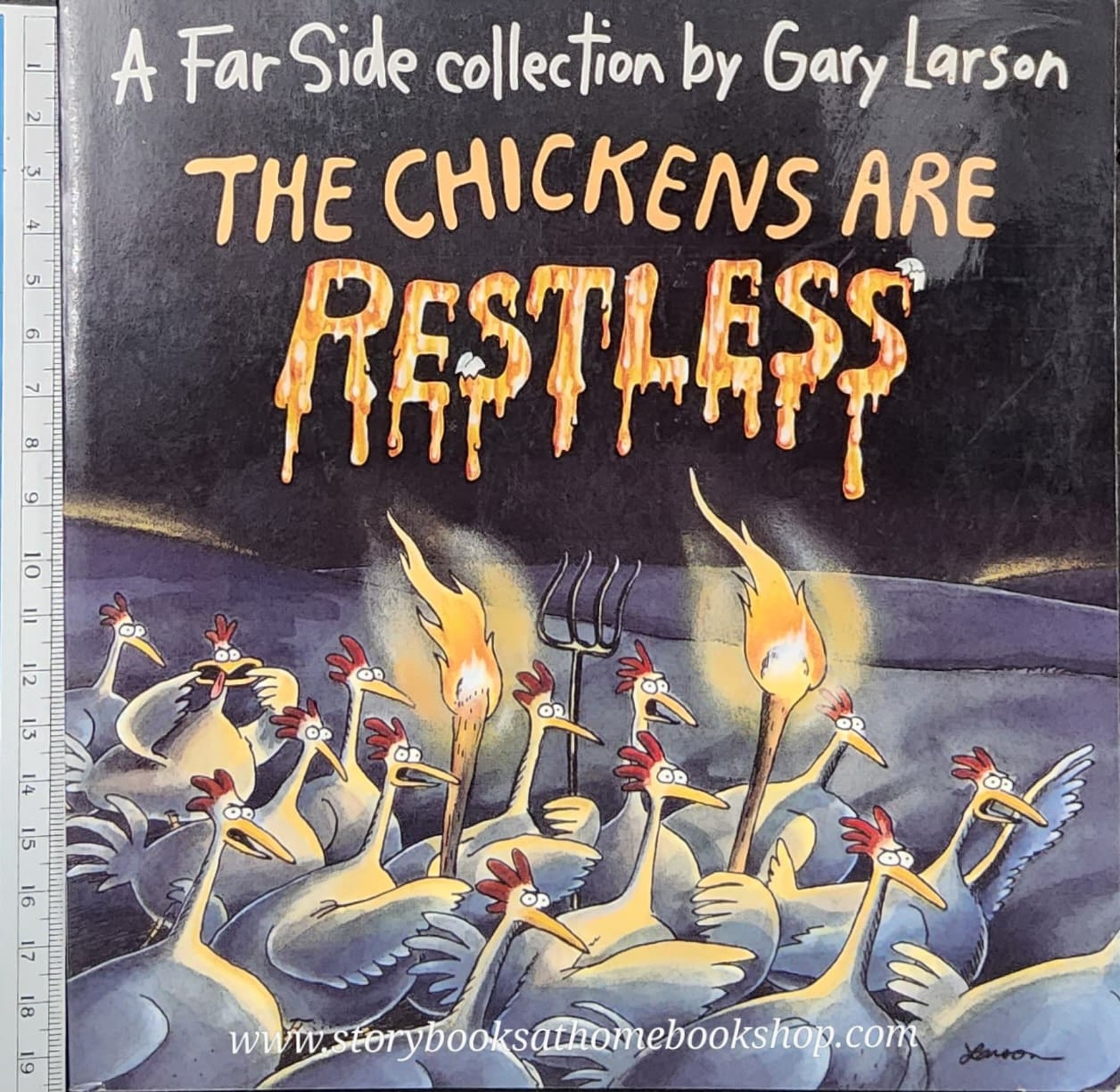 หนังสือนิทานปกอ่อน** 🍅THE CHICKENS ARE RESTILESS
