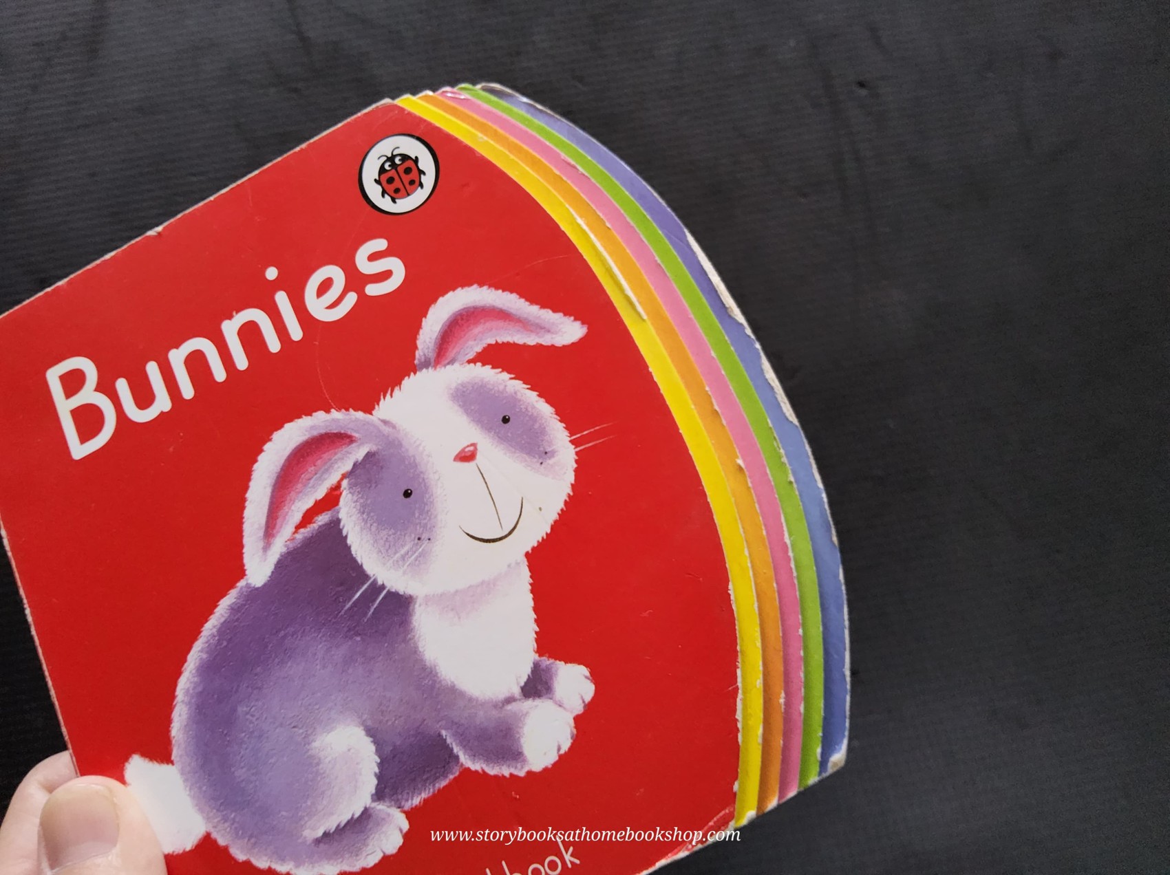 *BOARD BOOK** 🍅🍓BUNNIES