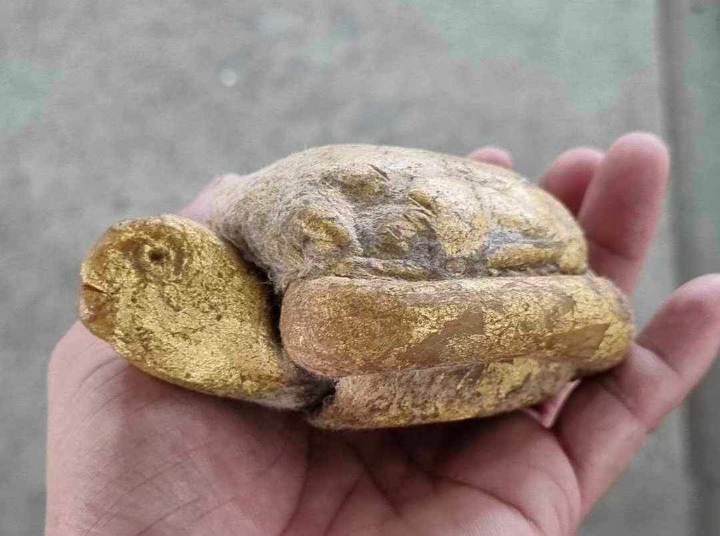 เต่าสำลีี ชุบเทียน ปิดทอง ขนาดบูชา ครูบาชัยยะวงศา วัดพระพุทธบาทห้วยต้ม เจ้าของเดิมชื่ออ้ายชัย อายุ 45 ปี อยู่ อ.บ้านโฮ่ง จ.ลำพูน เคยบวชเป็นพระวัดพระพุทธบาท ห้วยต้มเมื่อปี 2545-2550 อ้ายชัยเล่าว่าท่านได้เช่าต่อจากกะเหรี่ยงลูกศิษย์ครูบาวงศ์