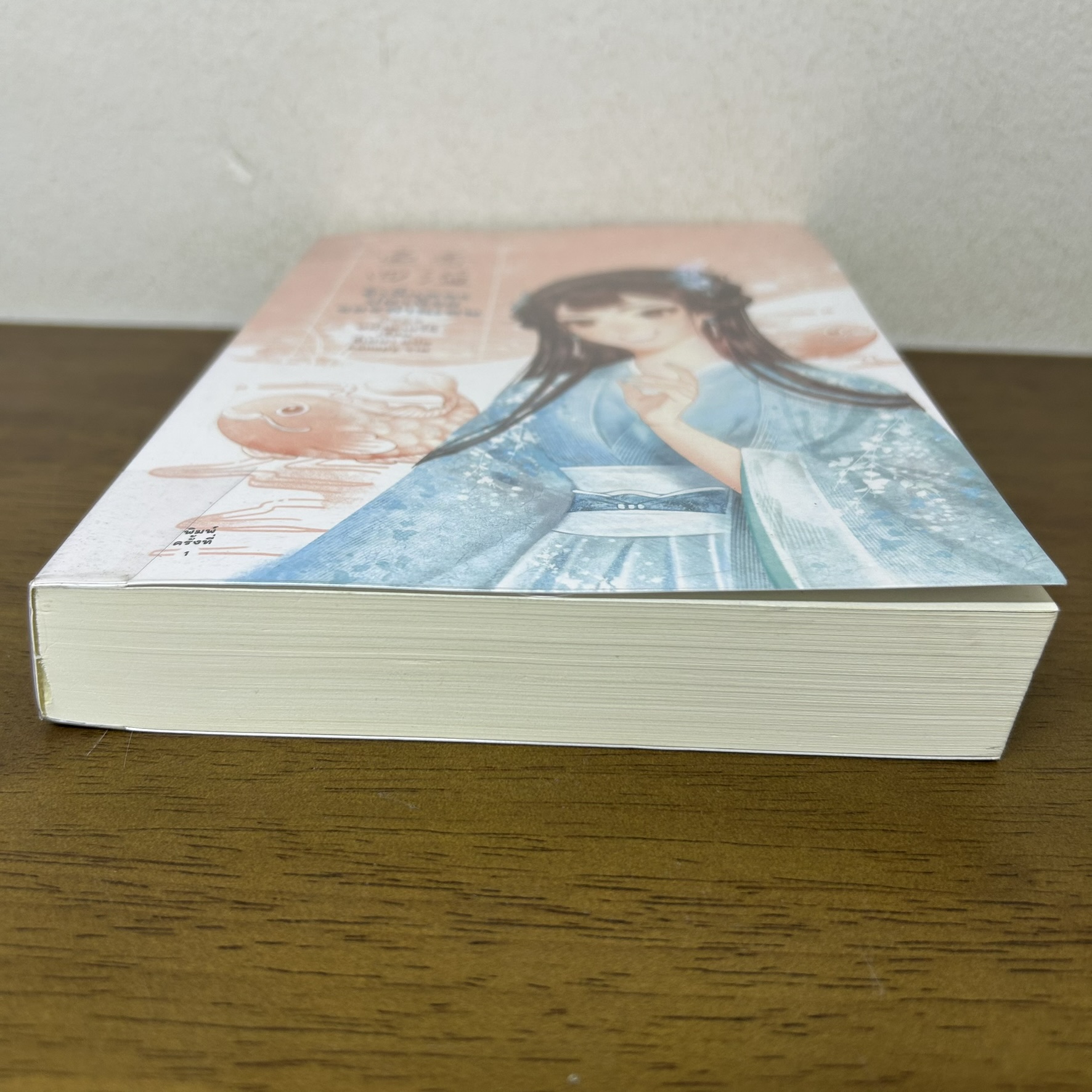 ข้านี่แหละปลาน้อยของท่านเทพ ... หมั่วฉาฉวี่ฉี (มือสอง) นิยาย แปลจีน นิยายรัก อรุณ