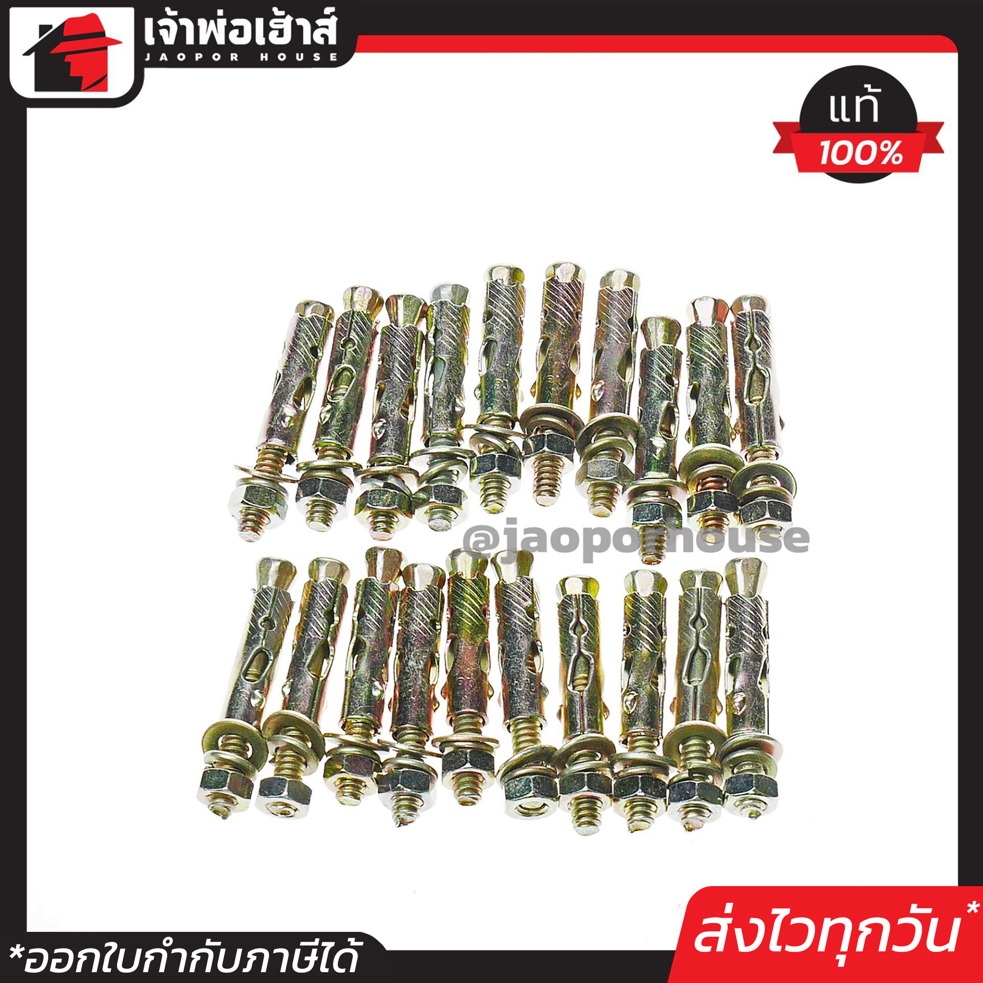 พุกเหล็ก พุ๊กเหล็ก 1/4 นิ้ว (2หุน) แพ็ค 1-200 ชิ้น พุก พุ๊ก ปุ๊ก ปุ๊กเหล็ก น็อตฝังคอนกรีต Labour D54-04