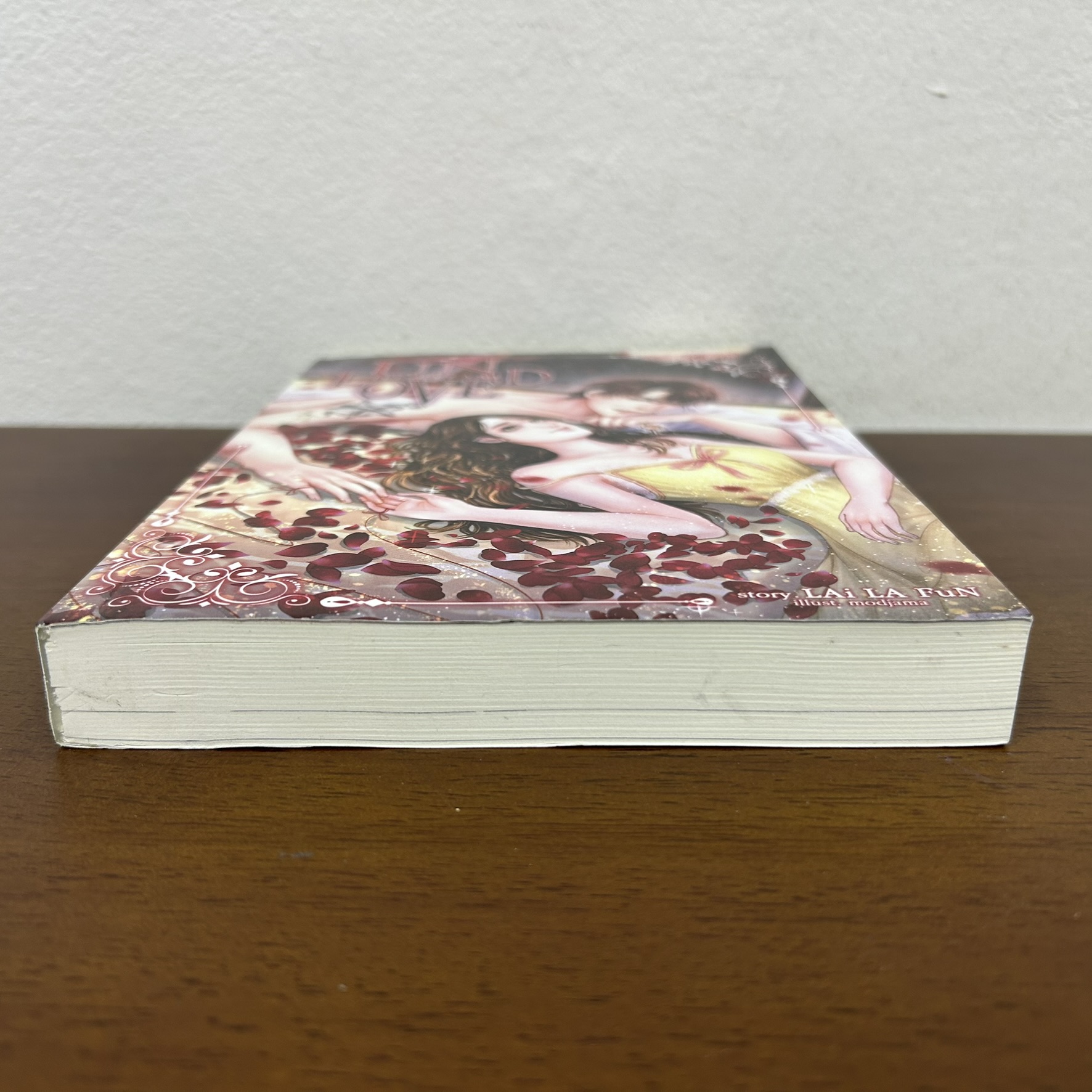 Unloved ใจลวงรัก ... LAi LA FuN (มือสอง) นิยาย โรแมนติก ทำมือ