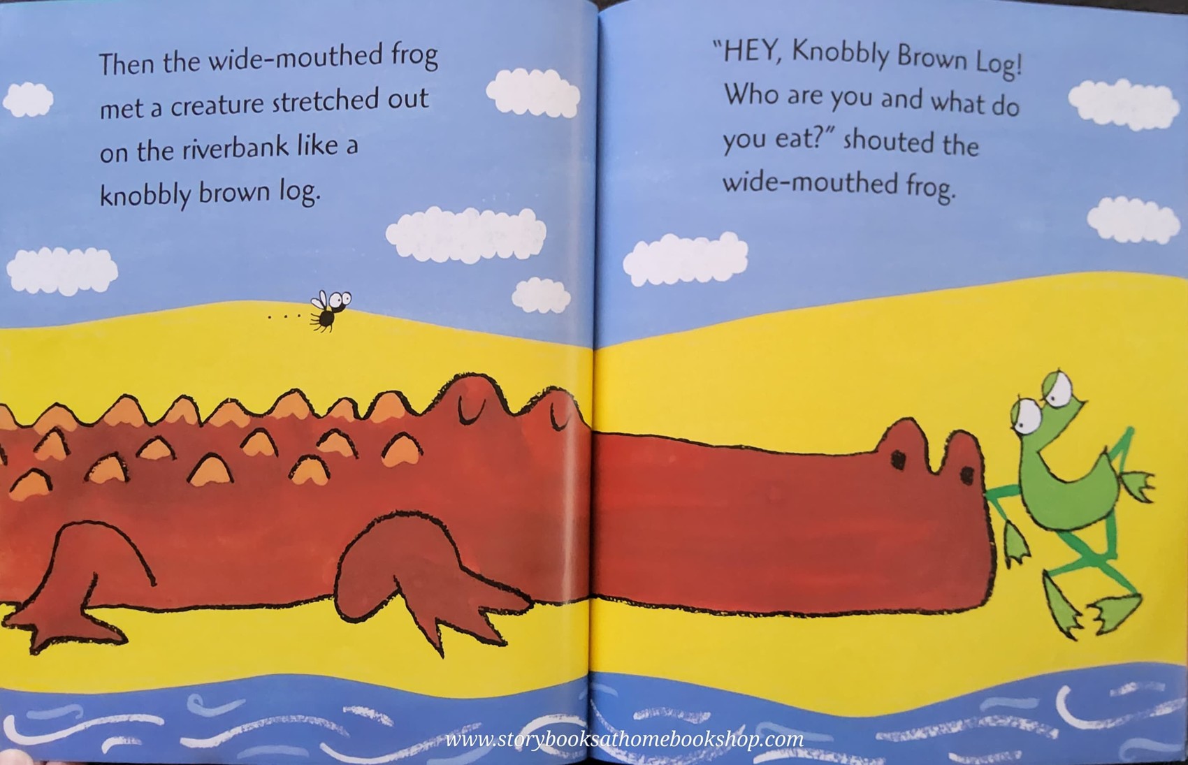 หนังสือนิทานปกอ่อน** 🍅THE BIG WIDE-MOUTHED FROG BY ANA MARTIN LARRANAGA