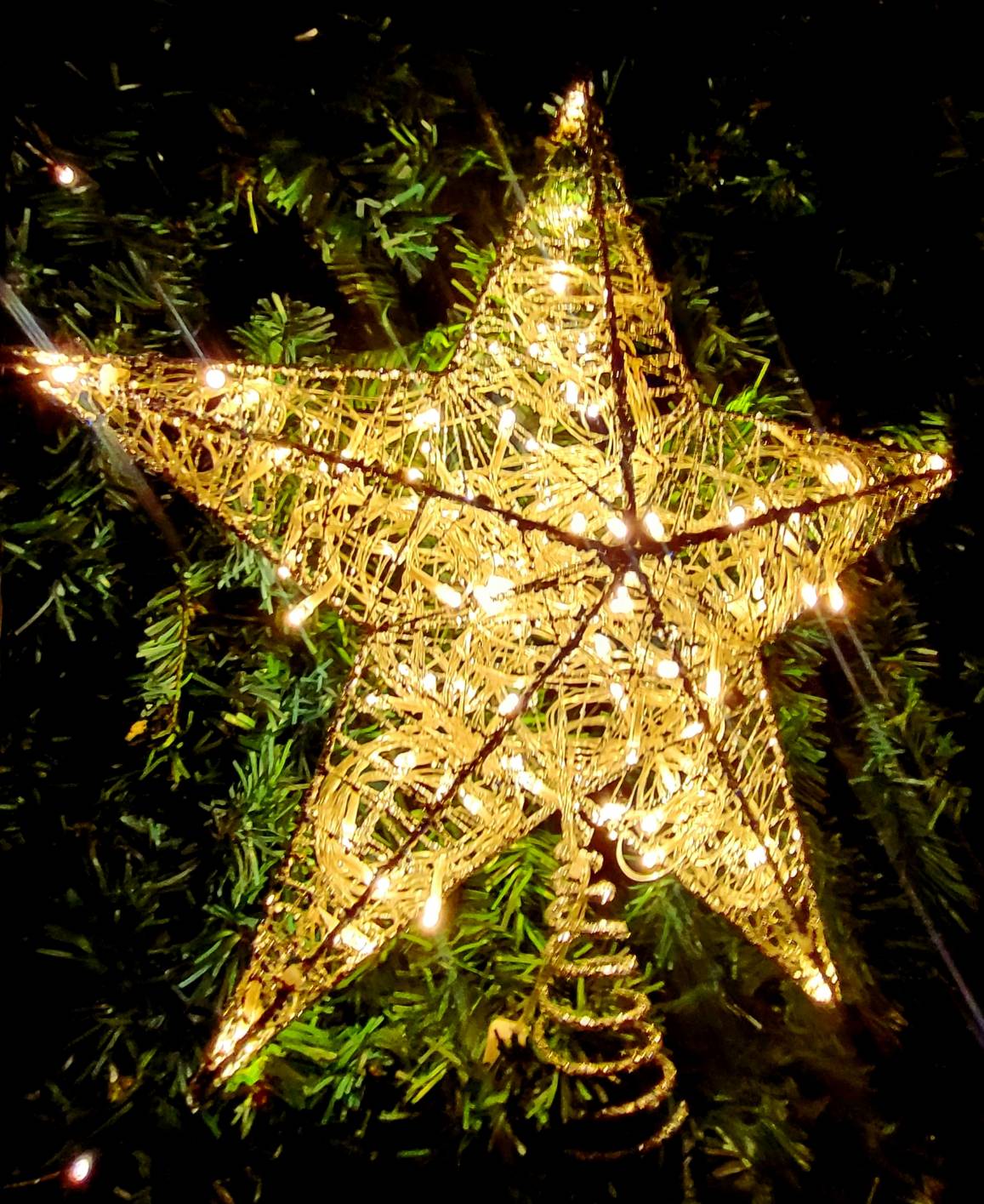 ดาวคริสต์มาส"ดาวยอดมีไฟ"ใช้ต้นเท่าไหร่เลือกขนาดที่เหมาะสมนะครับ