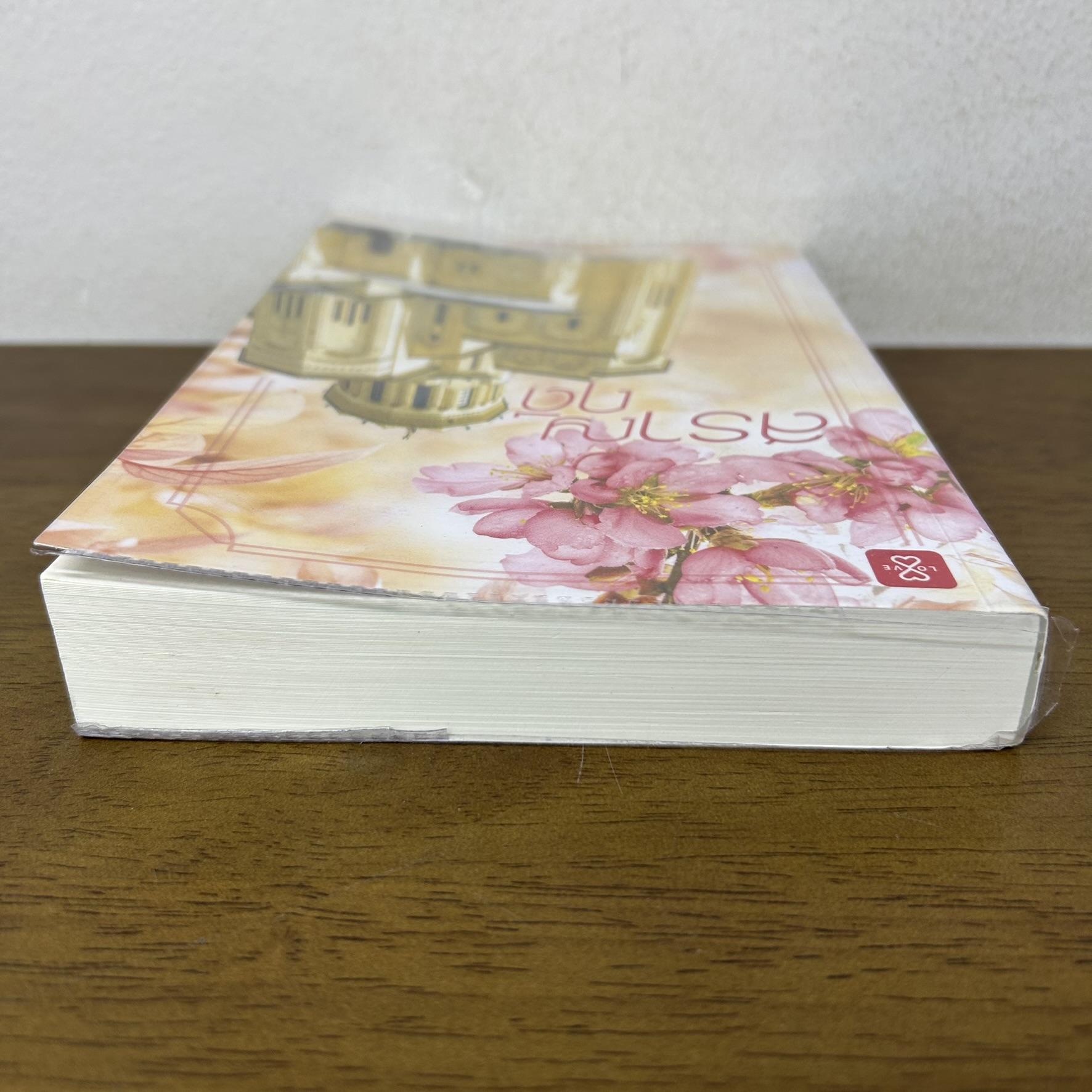 สราญฤดี ... Andra (มือสอง) นิยาย นิยายรัก โรแมนติก แจ่มใส