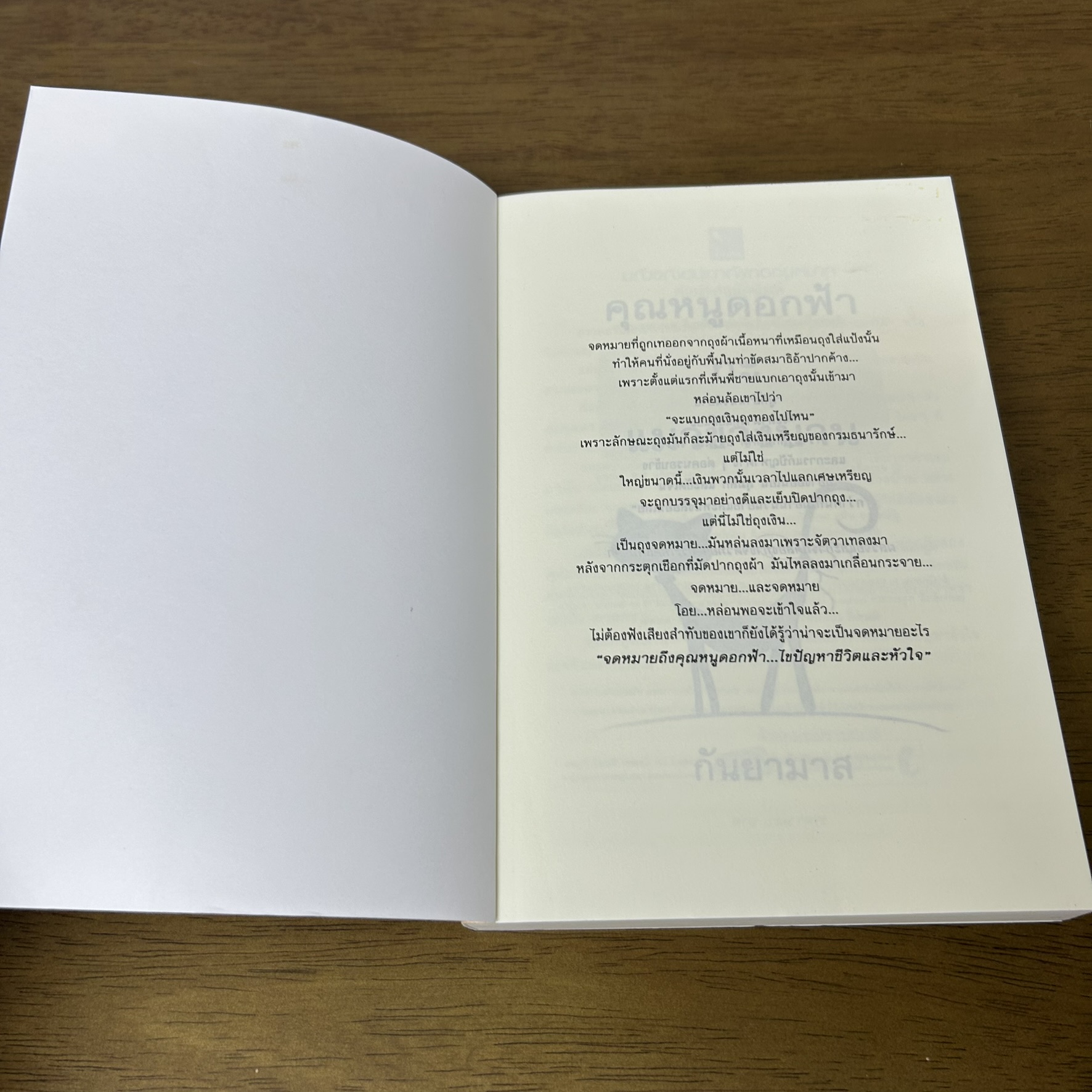 คุณหนูดอกฟ้ากะแมวข้างบ้าน ... กันยามาส (มือสอง) นิยาย โรแมนติก แสงดาว