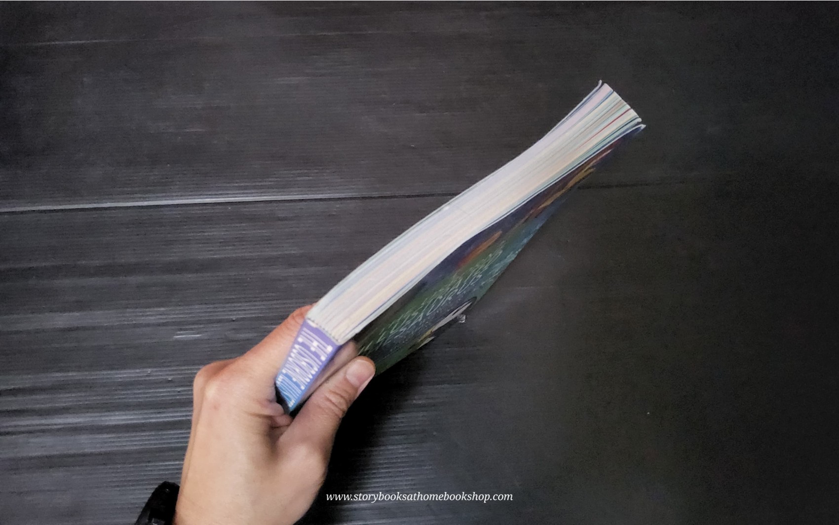 Knowledge Book ** 🍓🍓THE USBORNE ILLUSTRATED THESAURUS