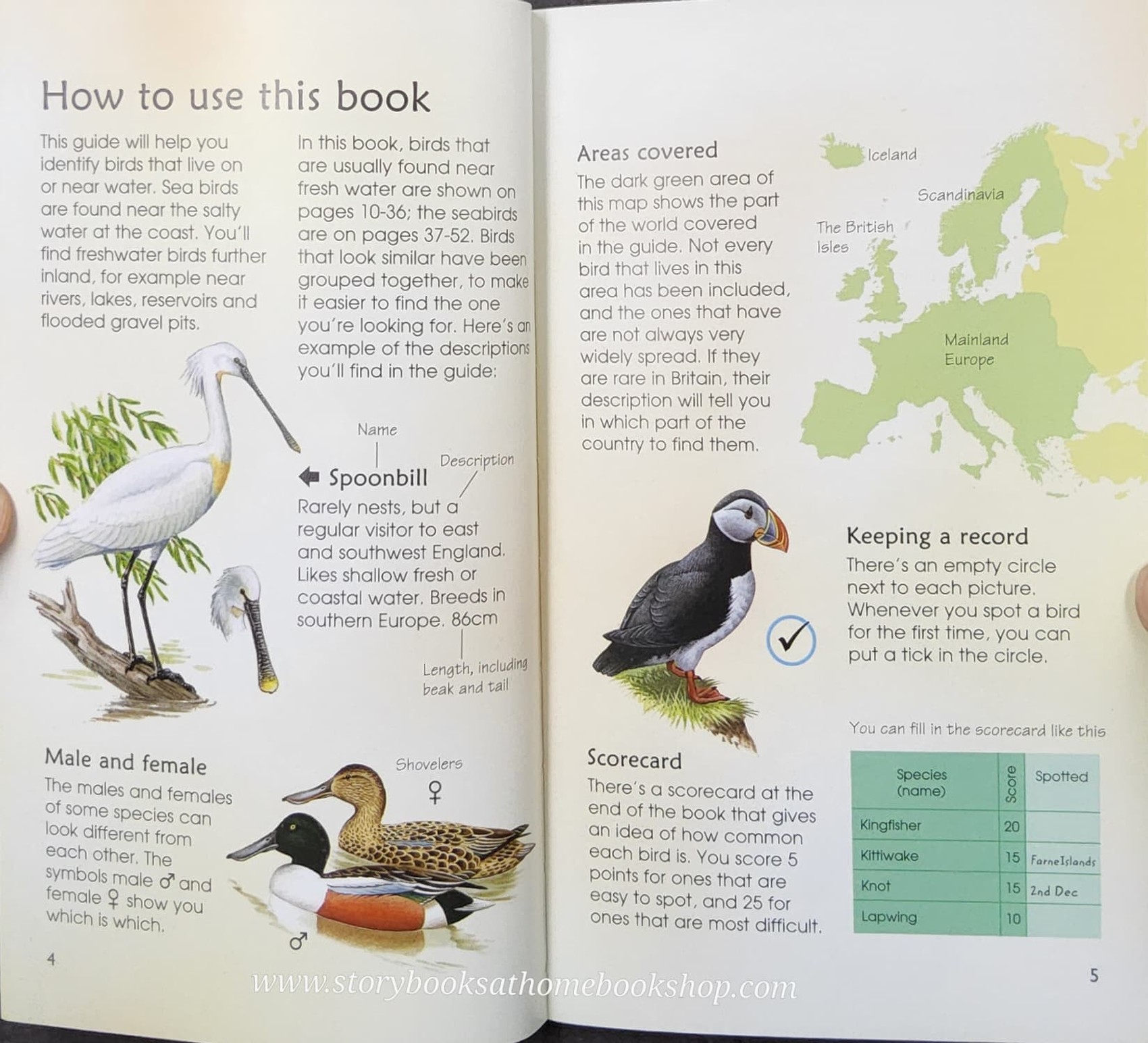 Knowledge Book** ð
ð
Usborne Spotter's Guide SEA&FRESHWATER BIRDS