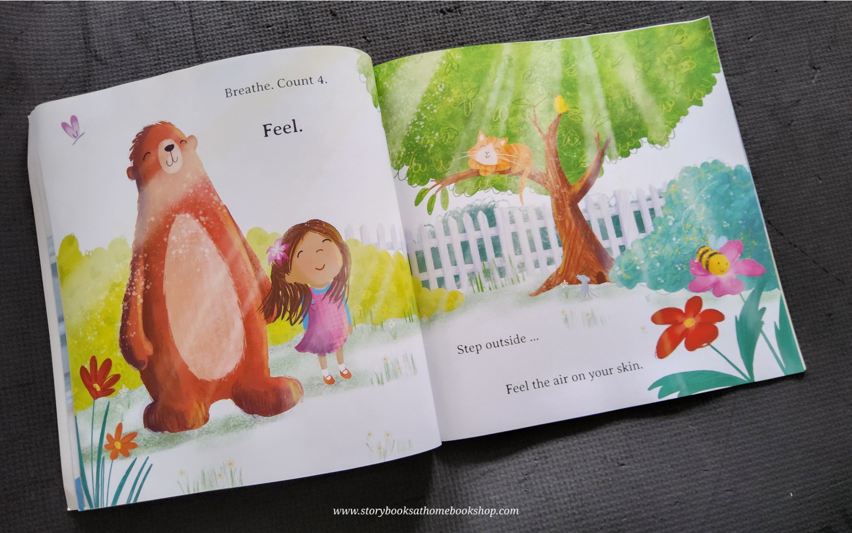 หนังสือนิทานปกอ่อน** 🍅BEAR'S LITTLE BOOK OF CALM