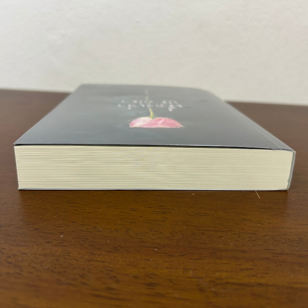 เรื่องเล่าปรำปรา ... ณัฐณรา (มือสอง) นิยาย โรมานซ์