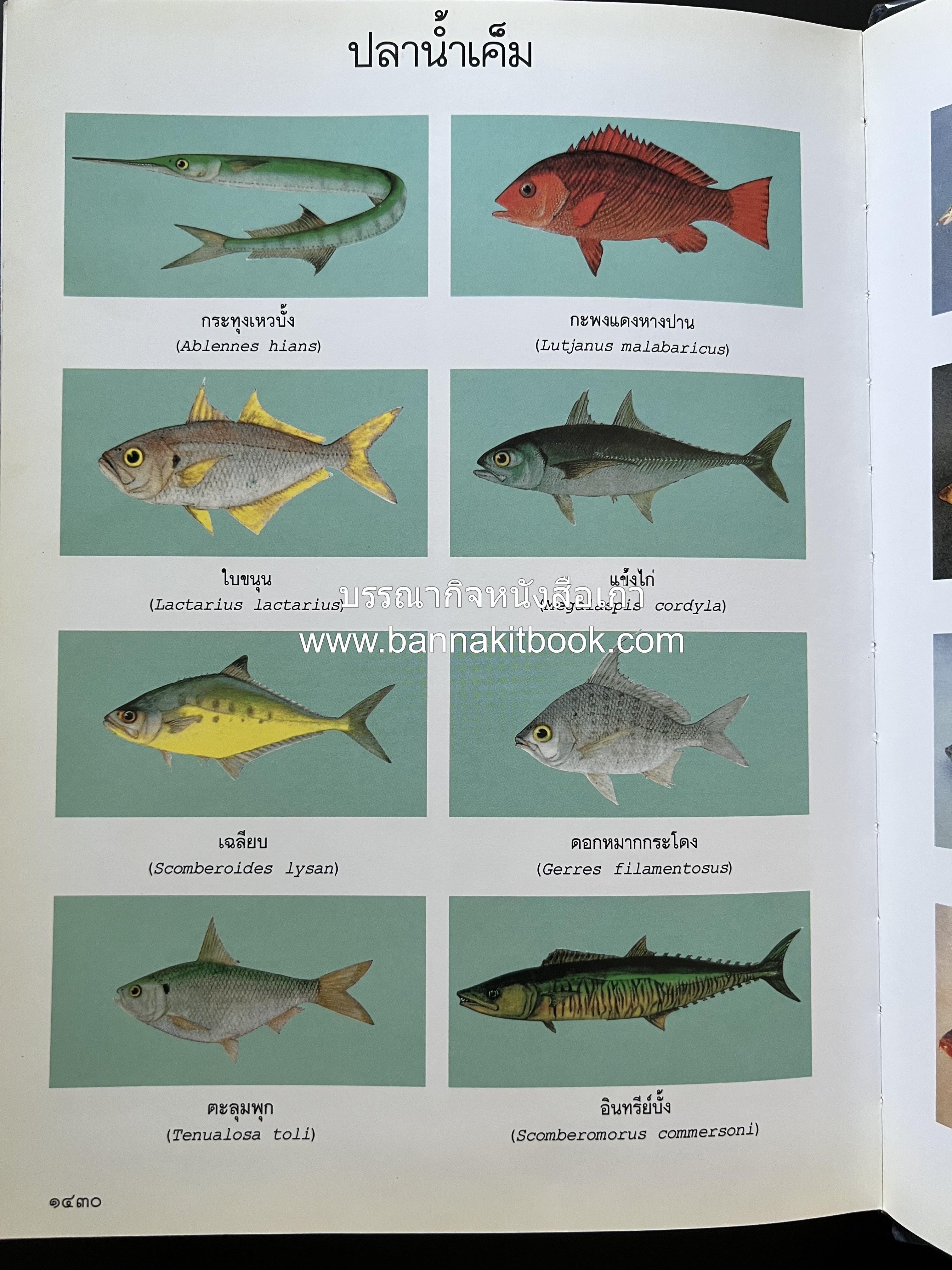 พจนานุกรม ฉบับราชบัณฑิตยสถาน พ.ศ. 2554 โดย : ราชบัณฑิตยสถาน.