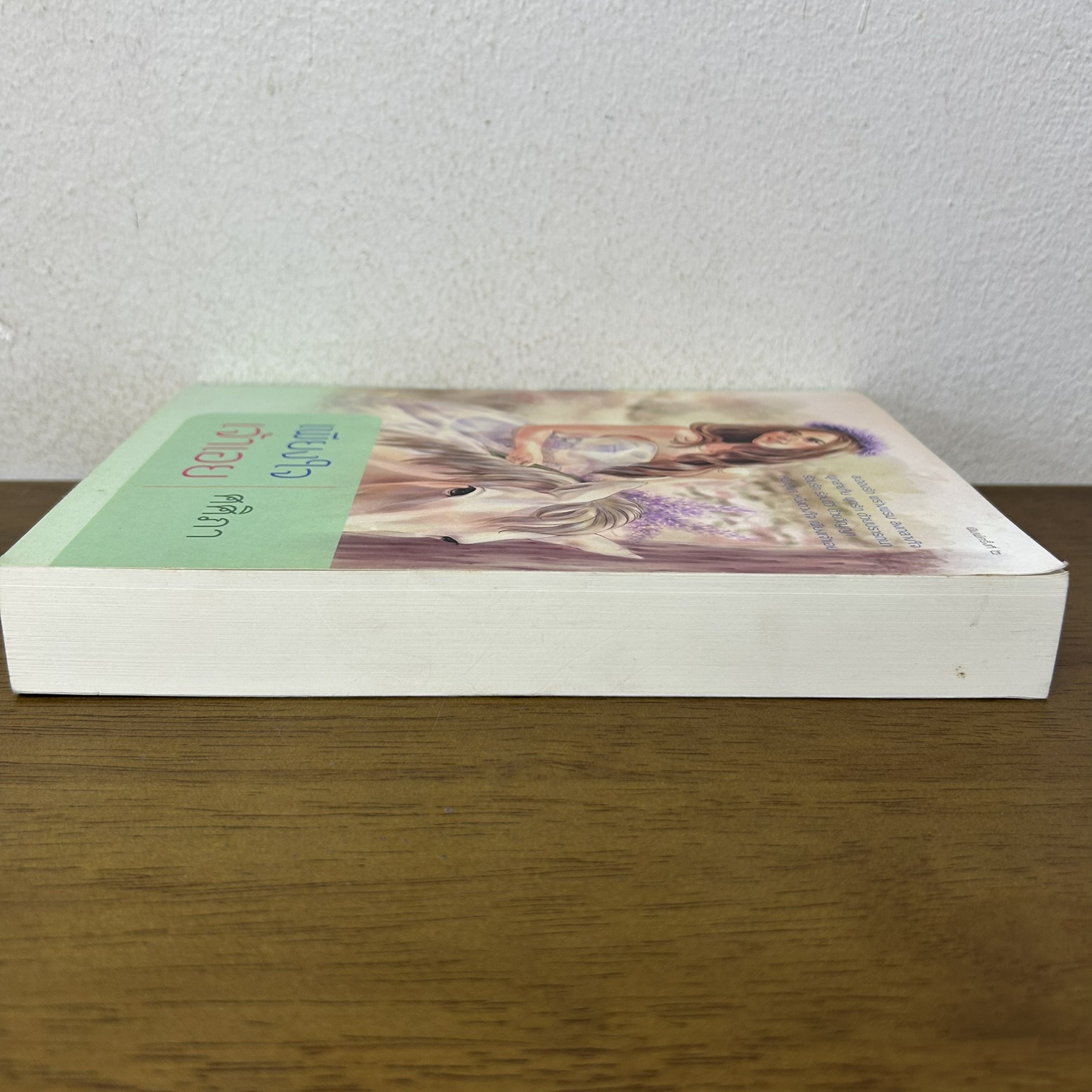 เพียงใจเจ้าเอย ... ศศิภา (มือสอง) นิยาย นิยายรัก โรแมนติก