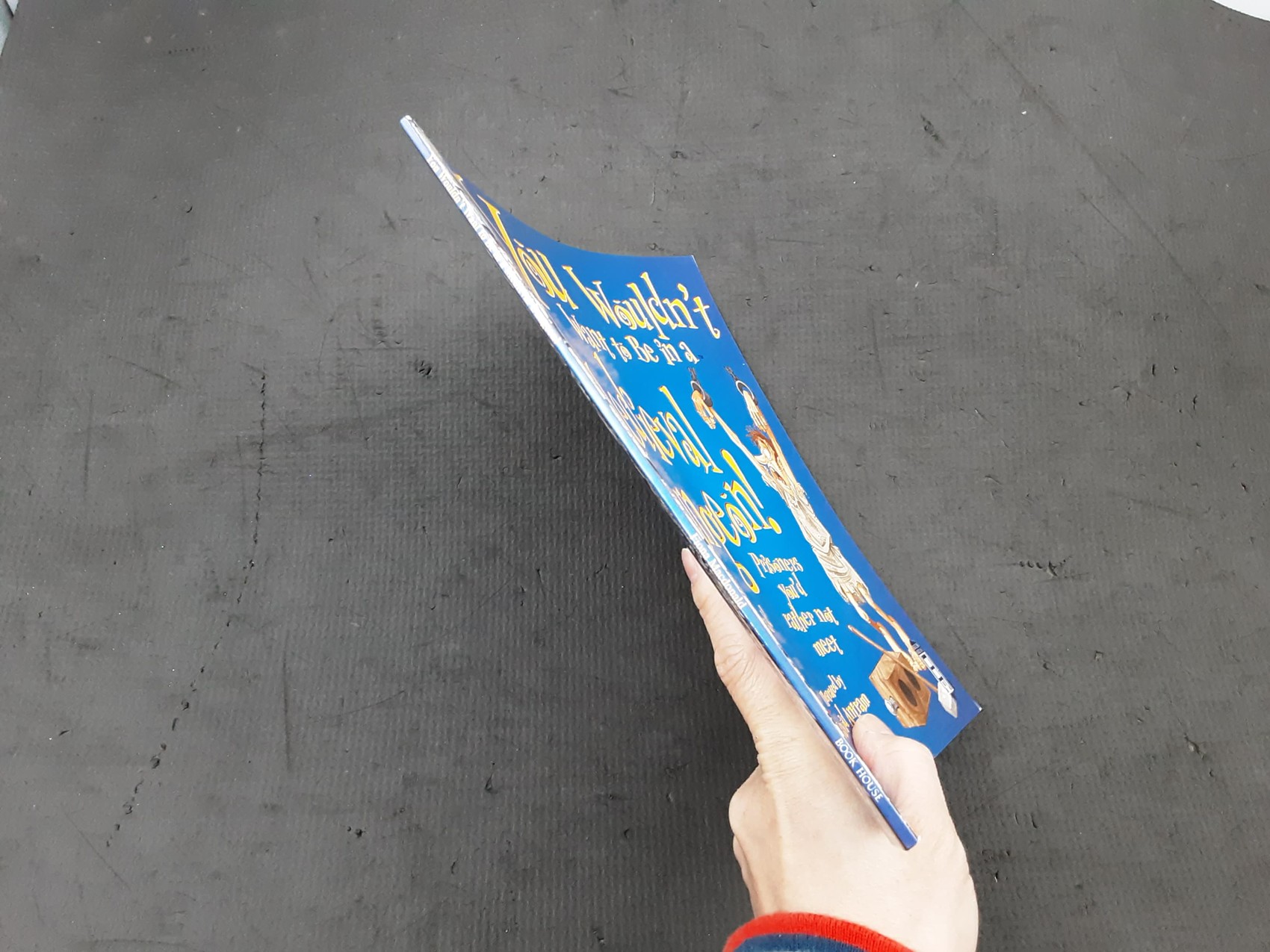 Knowledge Book** 🍅🍓YOU WOULDN'T WANT TO BE IN A MEDIEVAL DUNGEON! /USED 80-90%