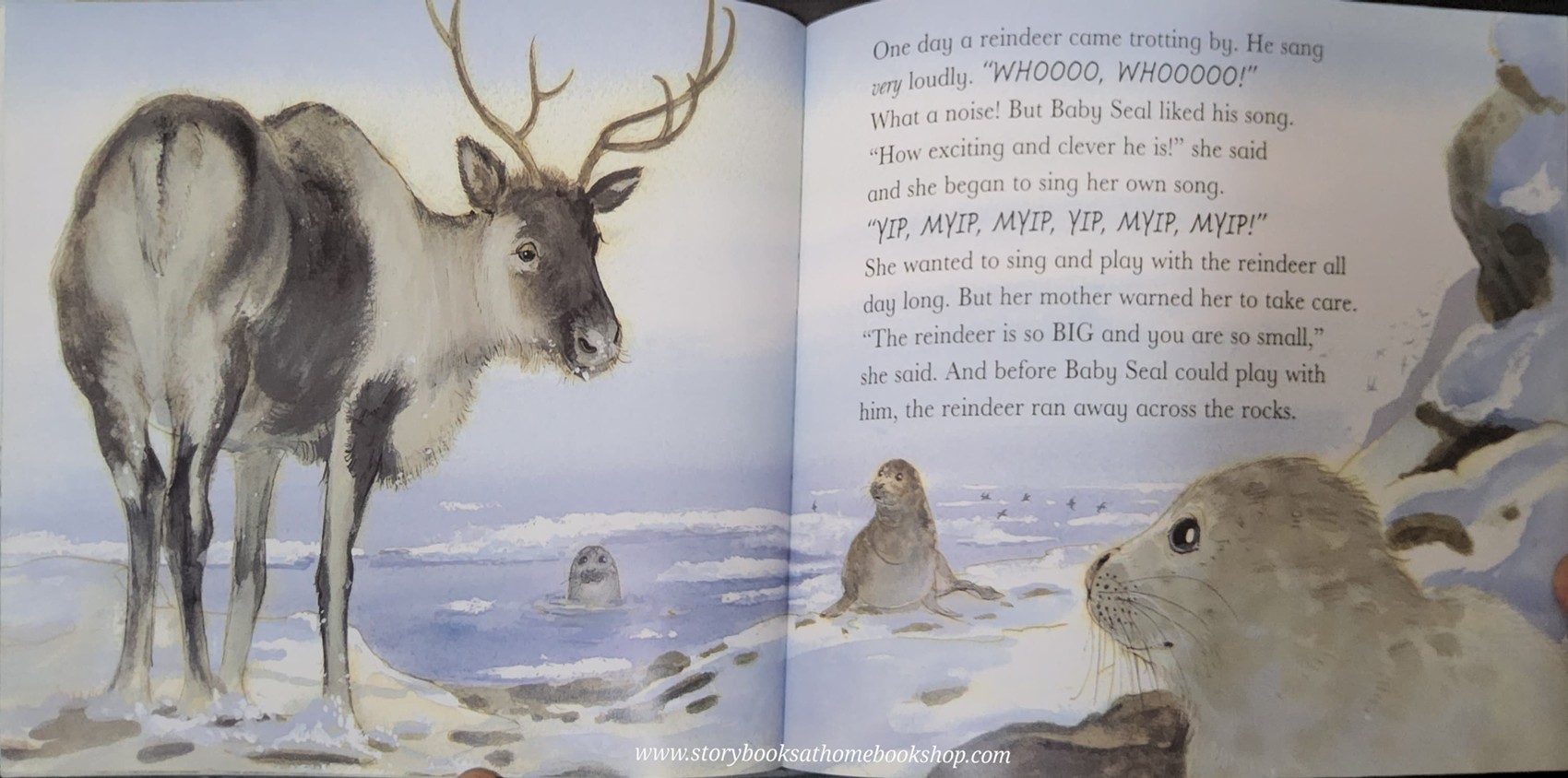 หนังสือนิทานปกอ่อน** 🍅BABY SEAL ALL ALONE