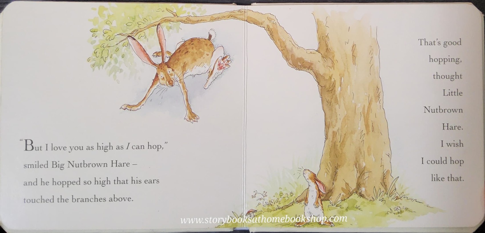 BOARD BOOK** 🍅🍓GUESS HOW MUCH I LOVE YOU BY SAM MCBRATNEY