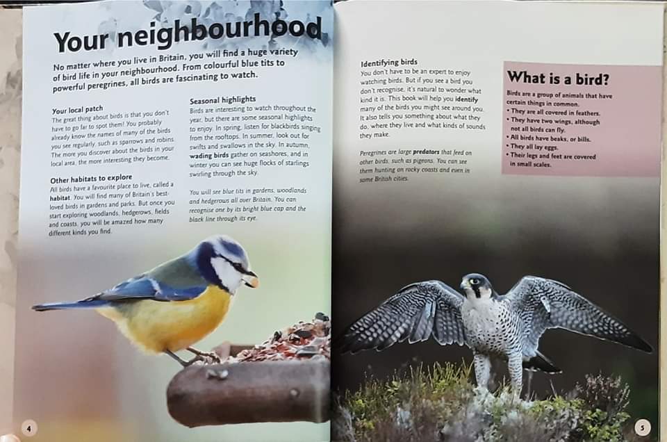 Knowledge Book** ð
ðBRITISH BIRDS