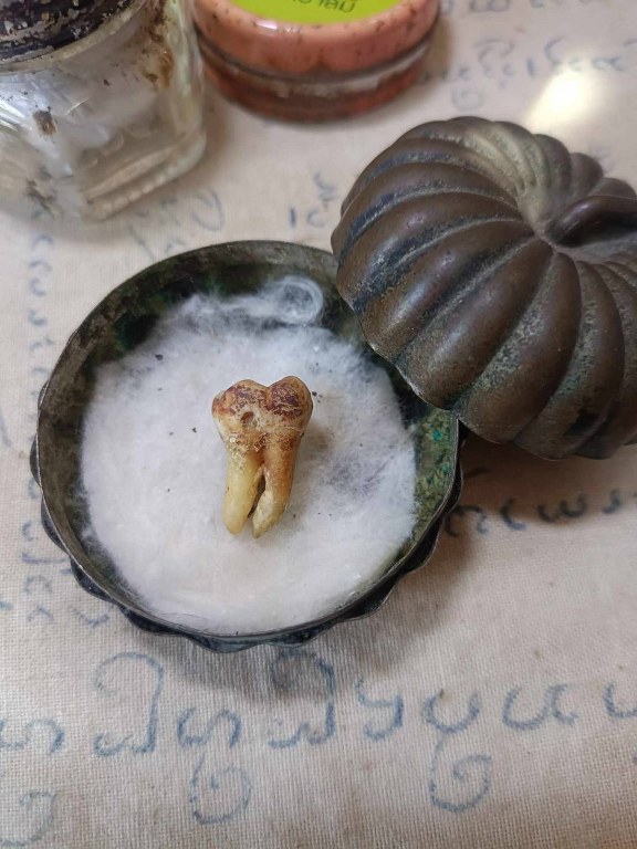 พระทันตธาตุครูบาคำมูล วัดพระบาทแม่ไทย อ.แม่ทะ จ.ลำปาง ได้มาจากครูบรรจง อายุ 92 ปี เสียชีวิตแล้วเมื่อมี 2565 ครูบรรจงเคยสอนที่โรงเรียนใน อ.แม่พริก จ.ลำปาง ครูบรรจงได้รับพระทันตธาตุครูบาคำมูลเมื่อปี 2532 โดยได้รับมาจากศิษย์ฯ ใกล้ชิดของครูบาคำมูล