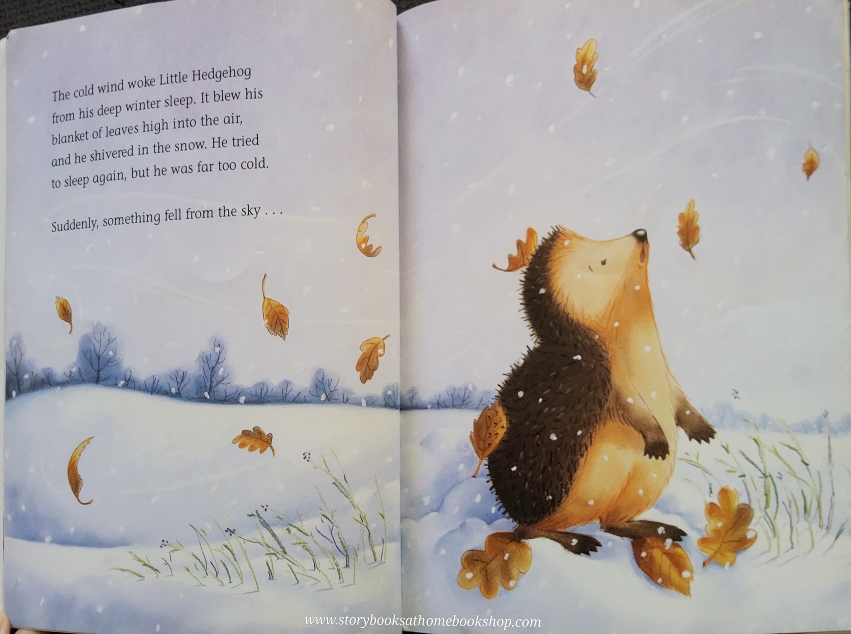 หนังสือนิทานปกอ่อน TOUCH AND FEEL** 🍅🍓ONE SNOWY NIGHT **ตำหนิ