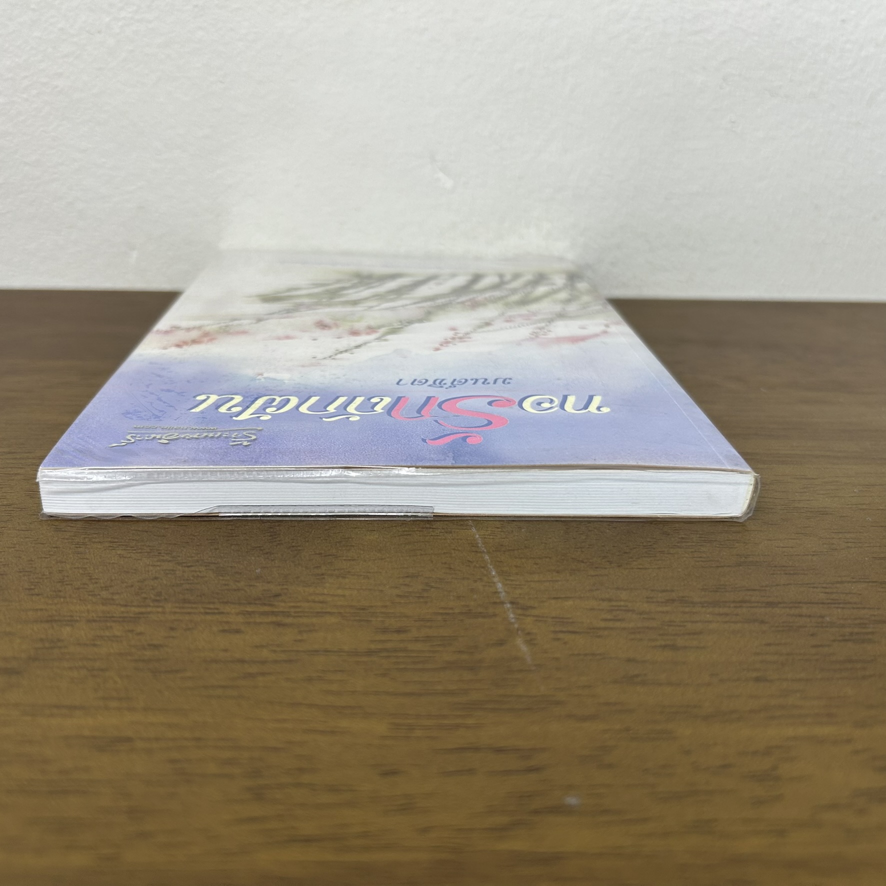 ทอรักถักฝัน ... มนต์ชิตา (มือสอง) นิยาย โรแมนติก เพื่อนดี