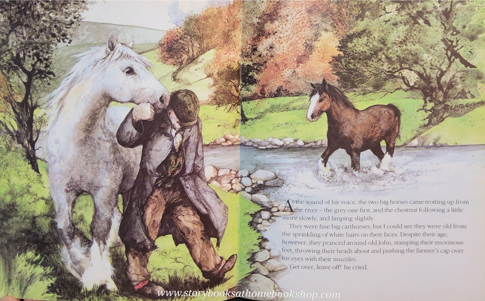 *หนังสือนิทานปกอ่อน** 🍅BONNY'S BIG DAY BY JAMES HERRIOT.RUTH BROWN