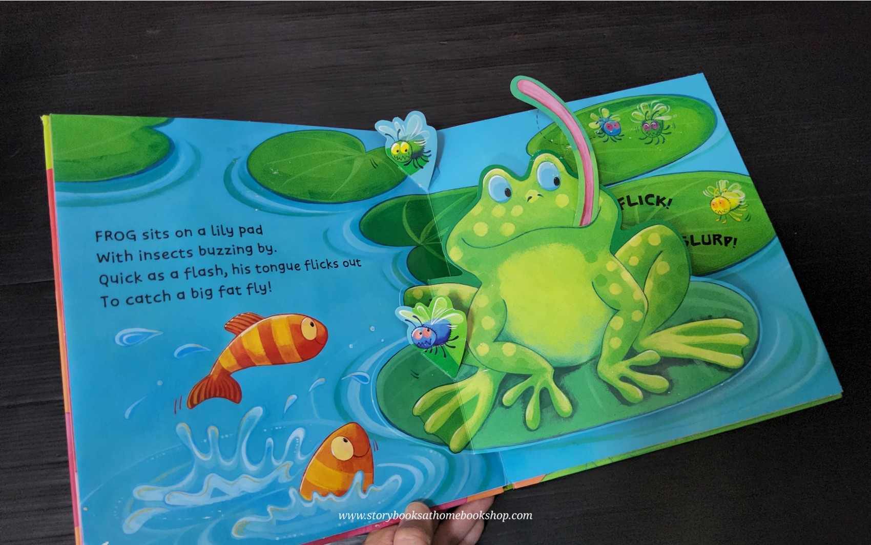 POP-UP BOOK** 🍅🍅POP-UP BUSY GARDEN