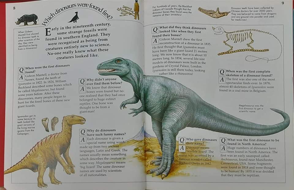 Knowledge Book** 🍅🍓KNOWLEDGE MASTERS DINOSAURS