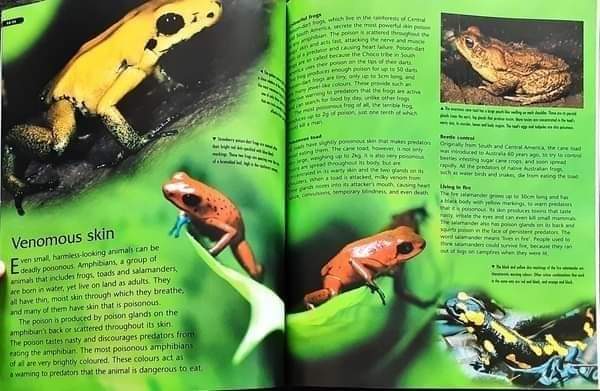 KNOWLEDGE BOOK 🍅🍓 KINGFISHER:Dangerous Creatures