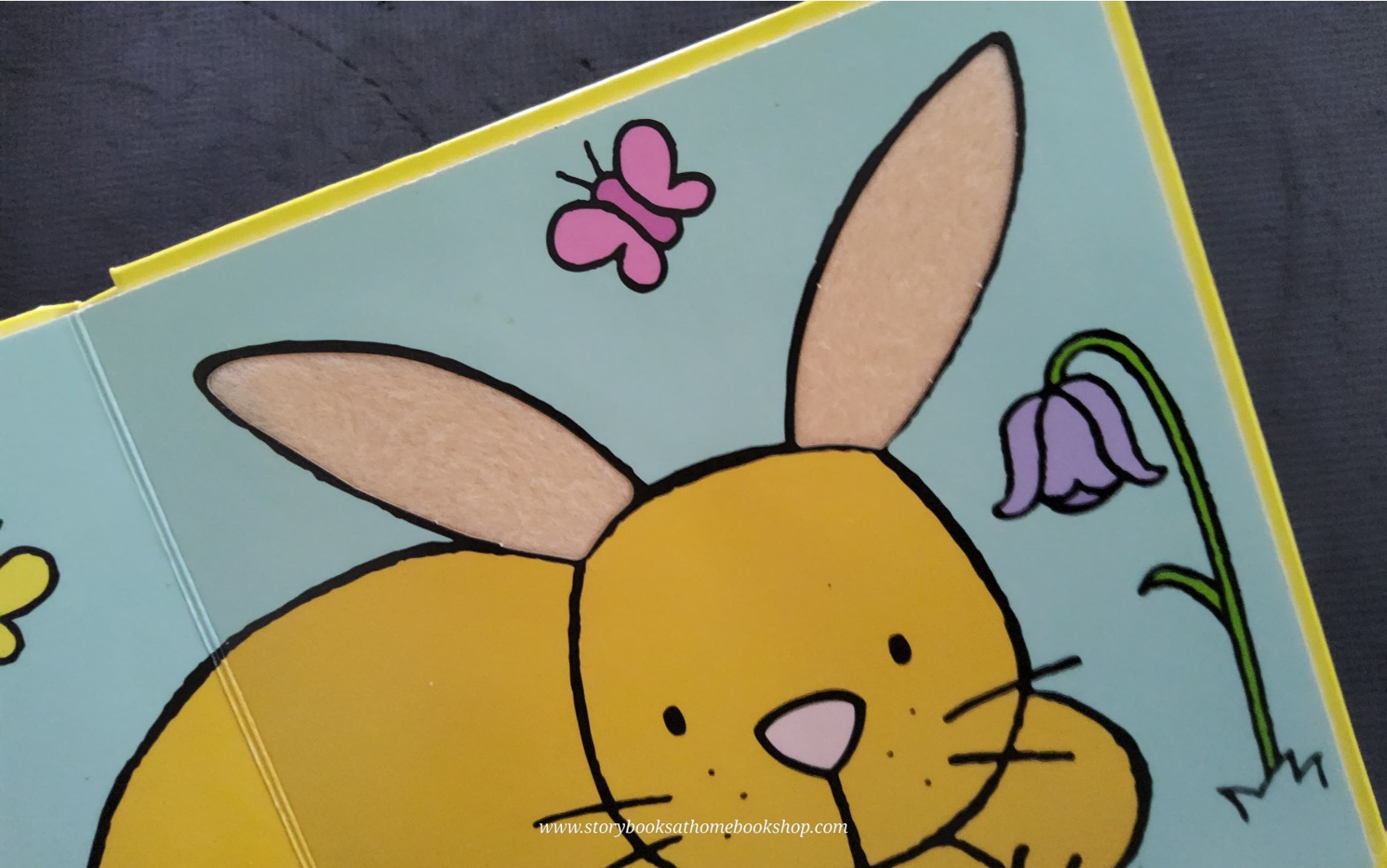 Touch and Feel BOARD BOOK** 🍅🍓That's not my BUNNY.