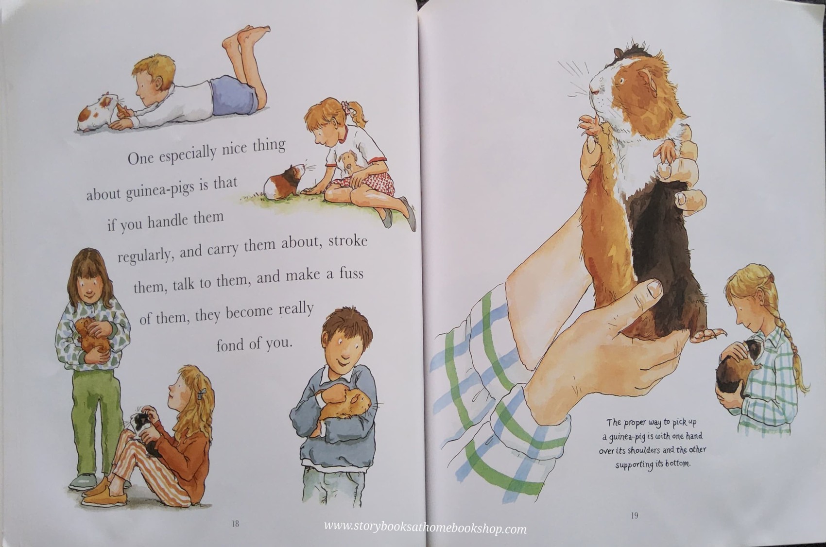 หนังสือนิทานปกอ่อน ** 🍅🍅I LOVE GUINEA-PIGS BY DICK KING-SMITH (NATURE STORYBOOK)