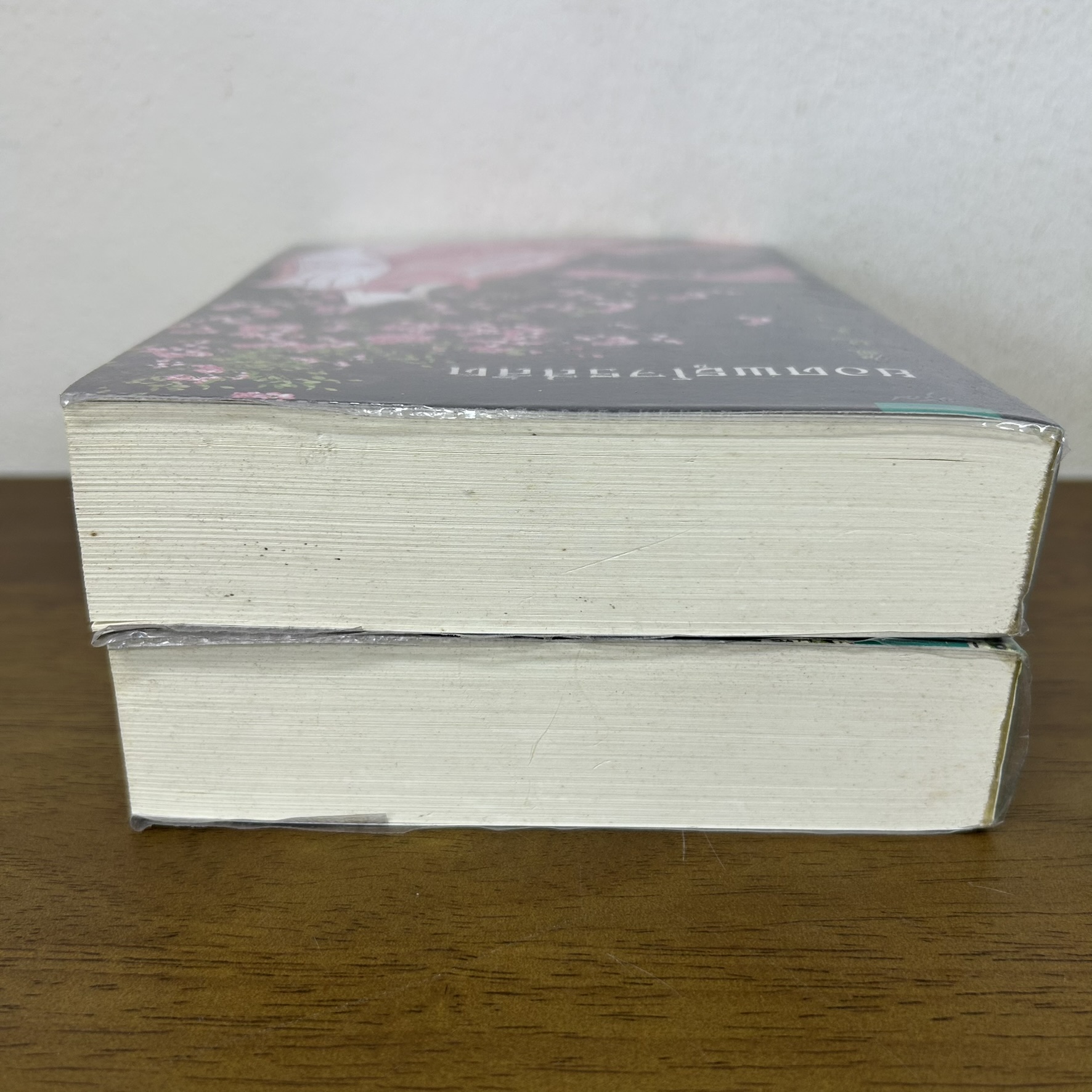 ยอดพธูโจรสลัด เล่ม 1-2 จบ ... เยวี่ยชูอวิ้น Yue Chu Yun เขียน (มือสอง) นิยายรัก แปลจีน อรุณ